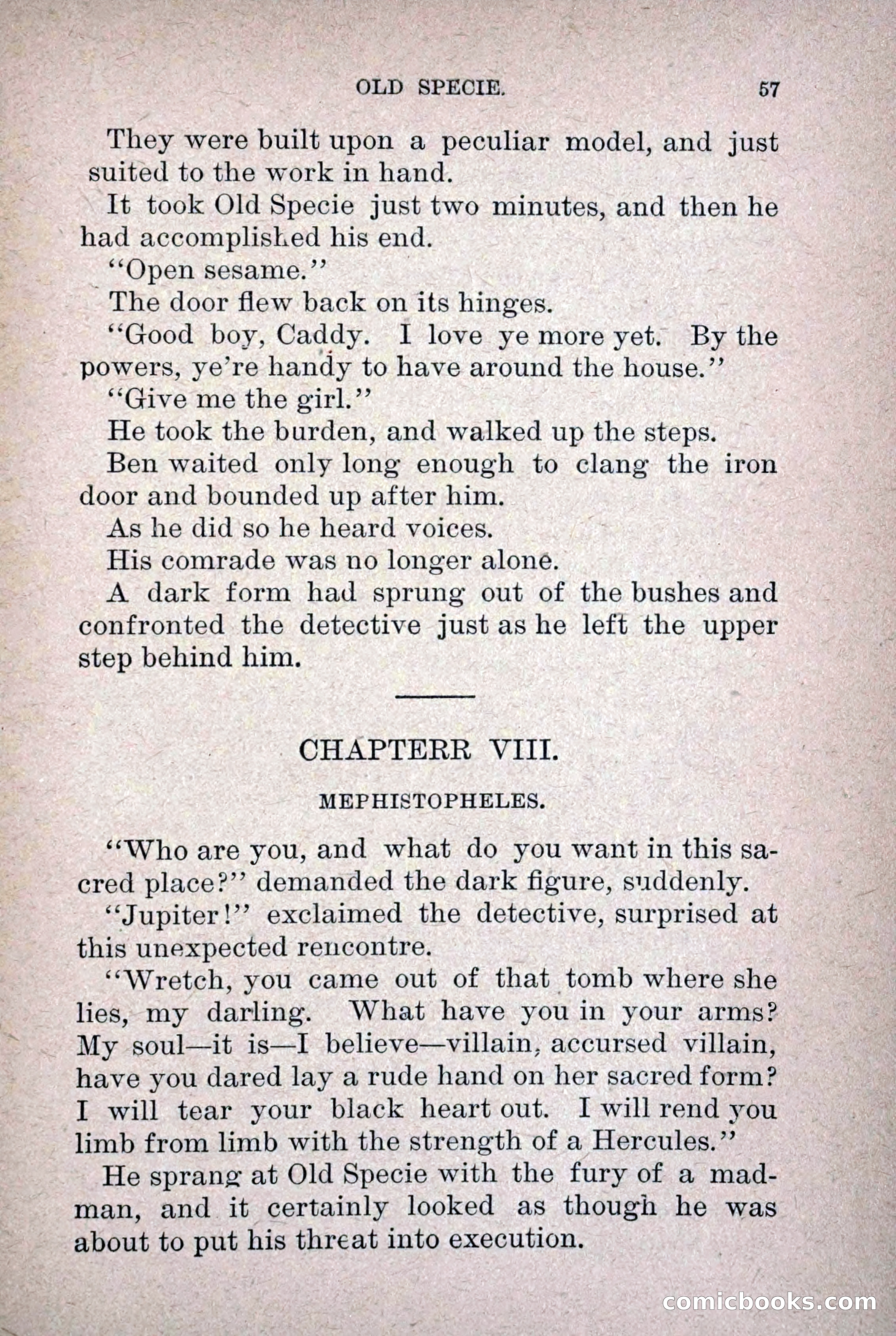 Old Specie, the Treasury Detective; or, The Harbor Lights of New York — page 65 of 220