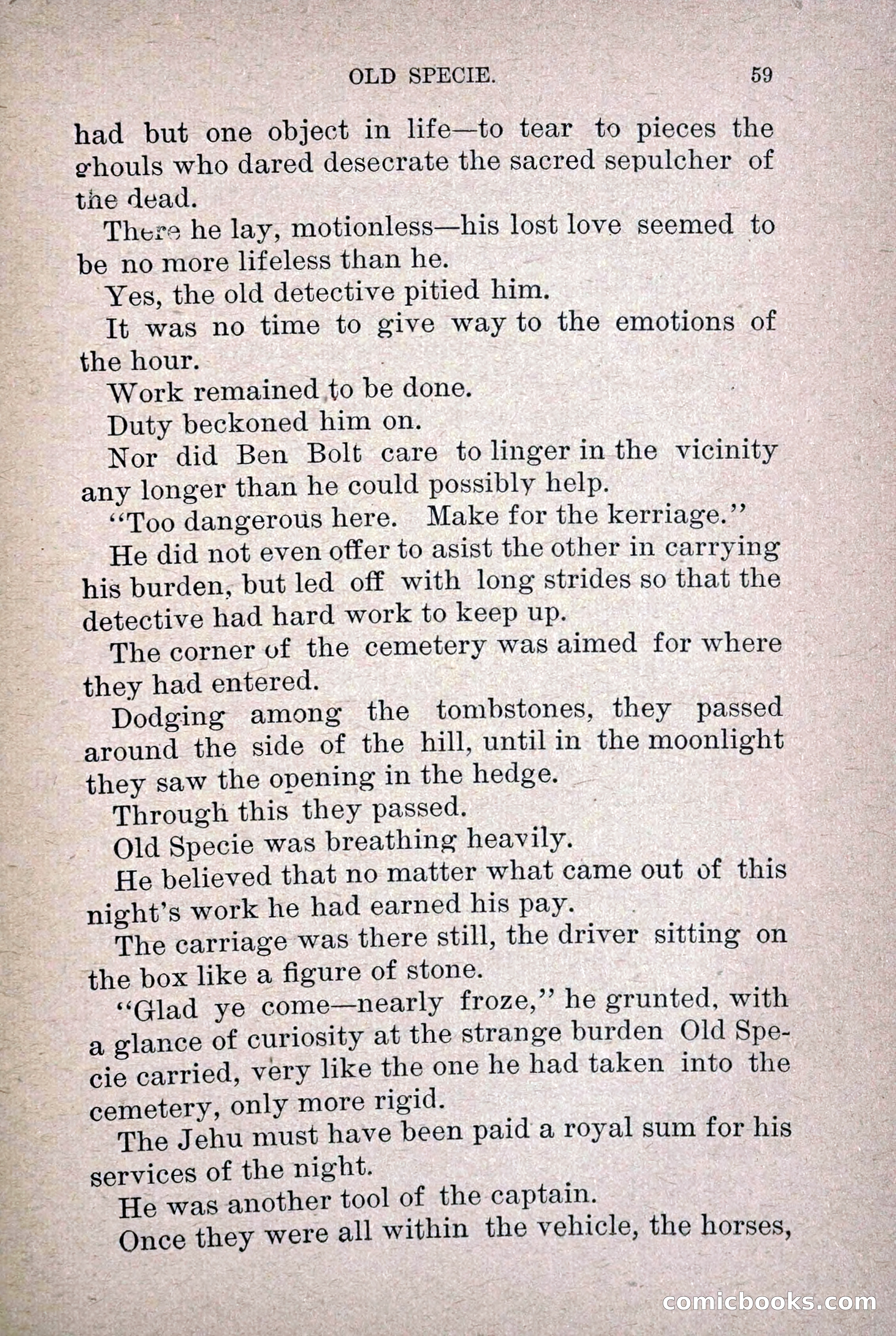 Old Specie, the Treasury Detective; or, The Harbor Lights of New York — page 67 of 220