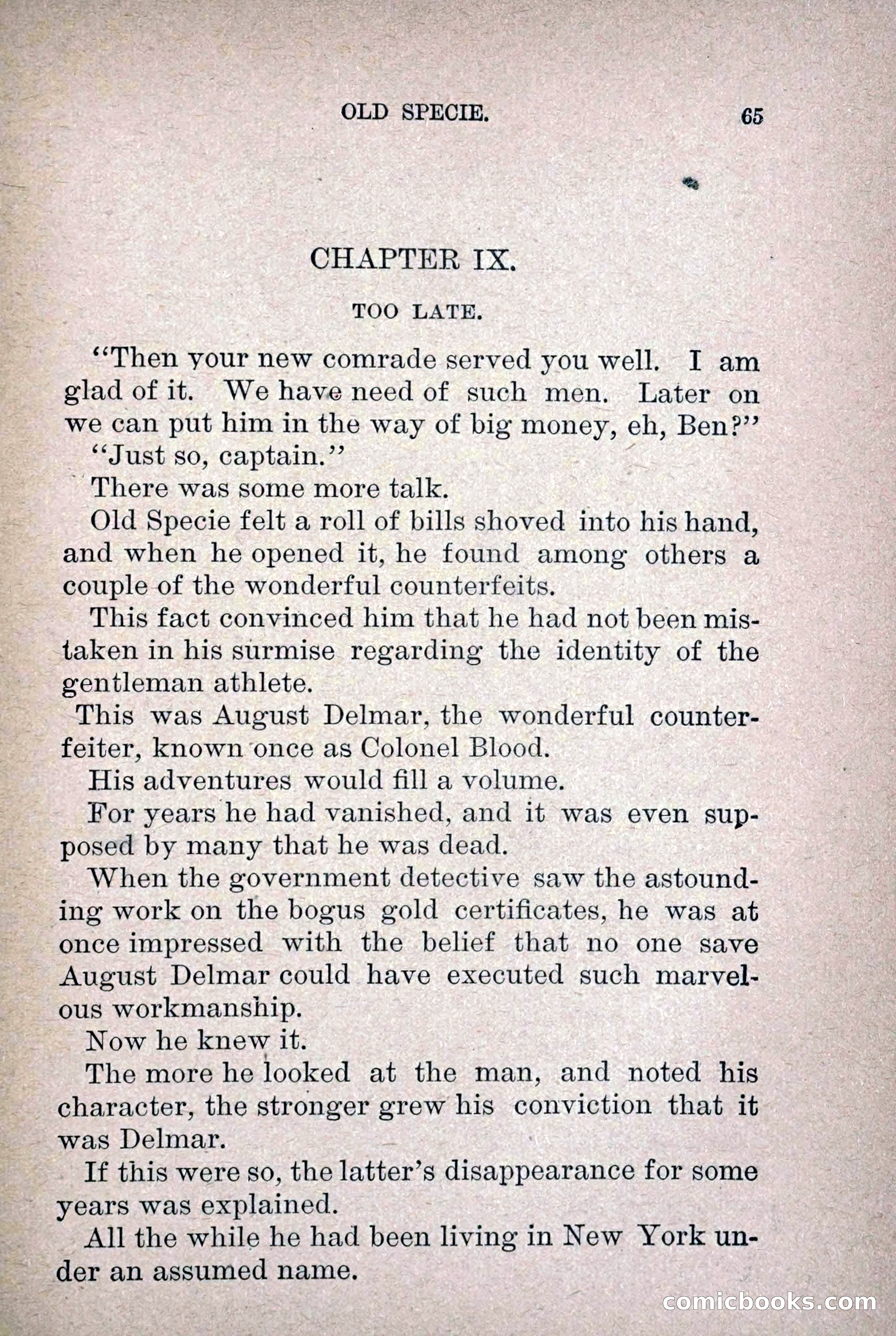 Old Specie, the Treasury Detective; or, The Harbor Lights of New York — page 73 of 220