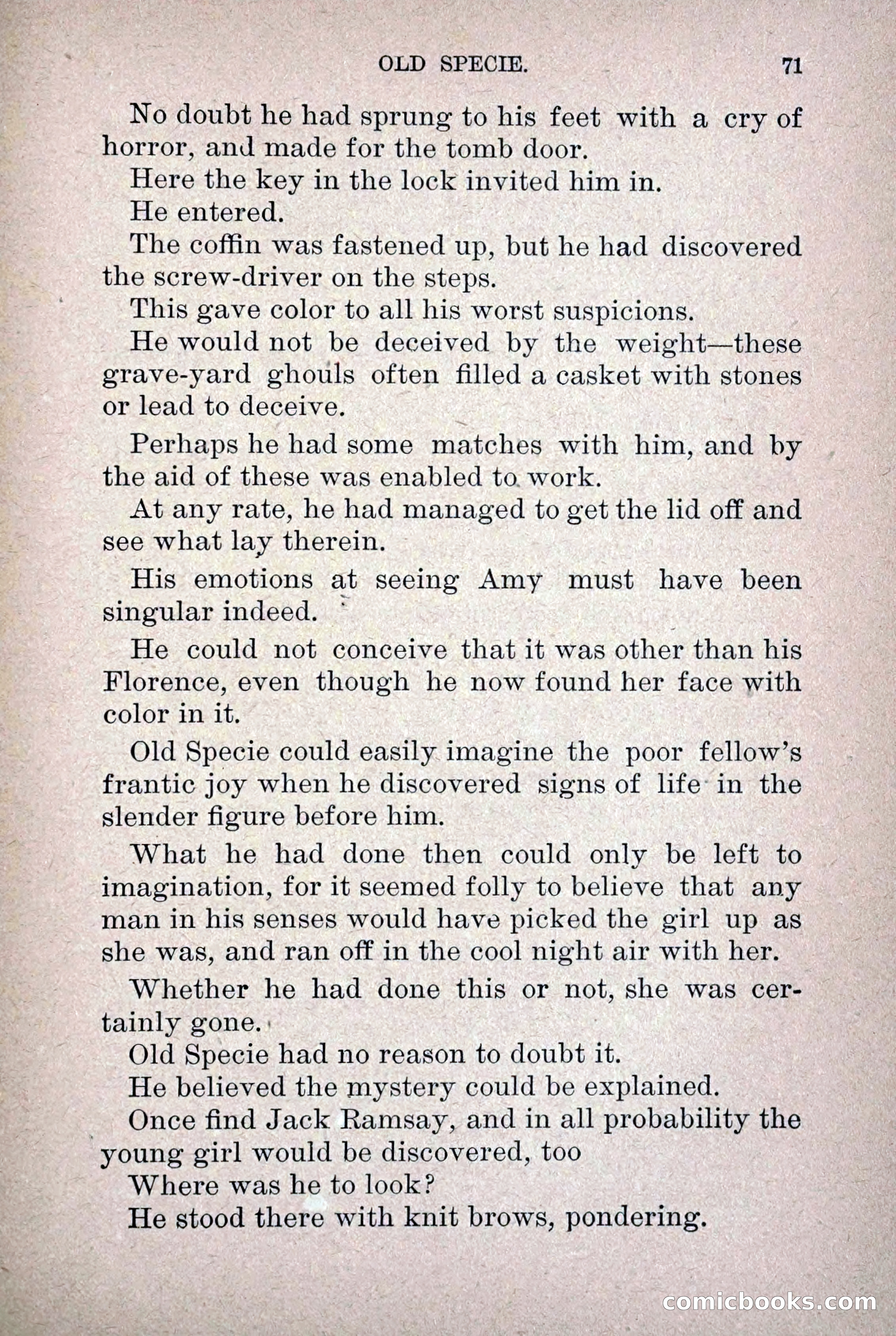 Old Specie, the Treasury Detective; or, The Harbor Lights of New York — page 79 of 220