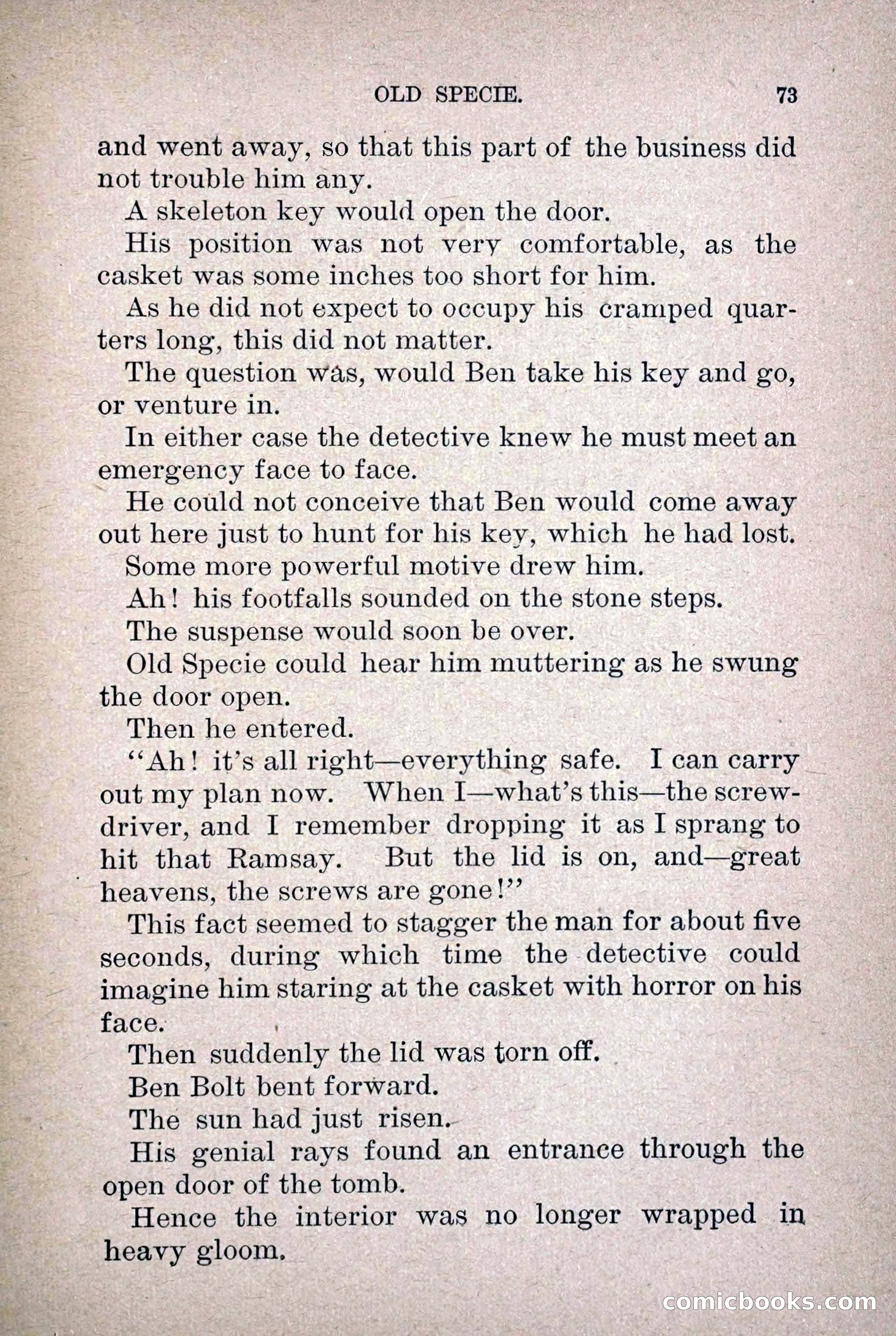 Old Specie, the Treasury Detective; or, The Harbor Lights of New York — page 81 of 220