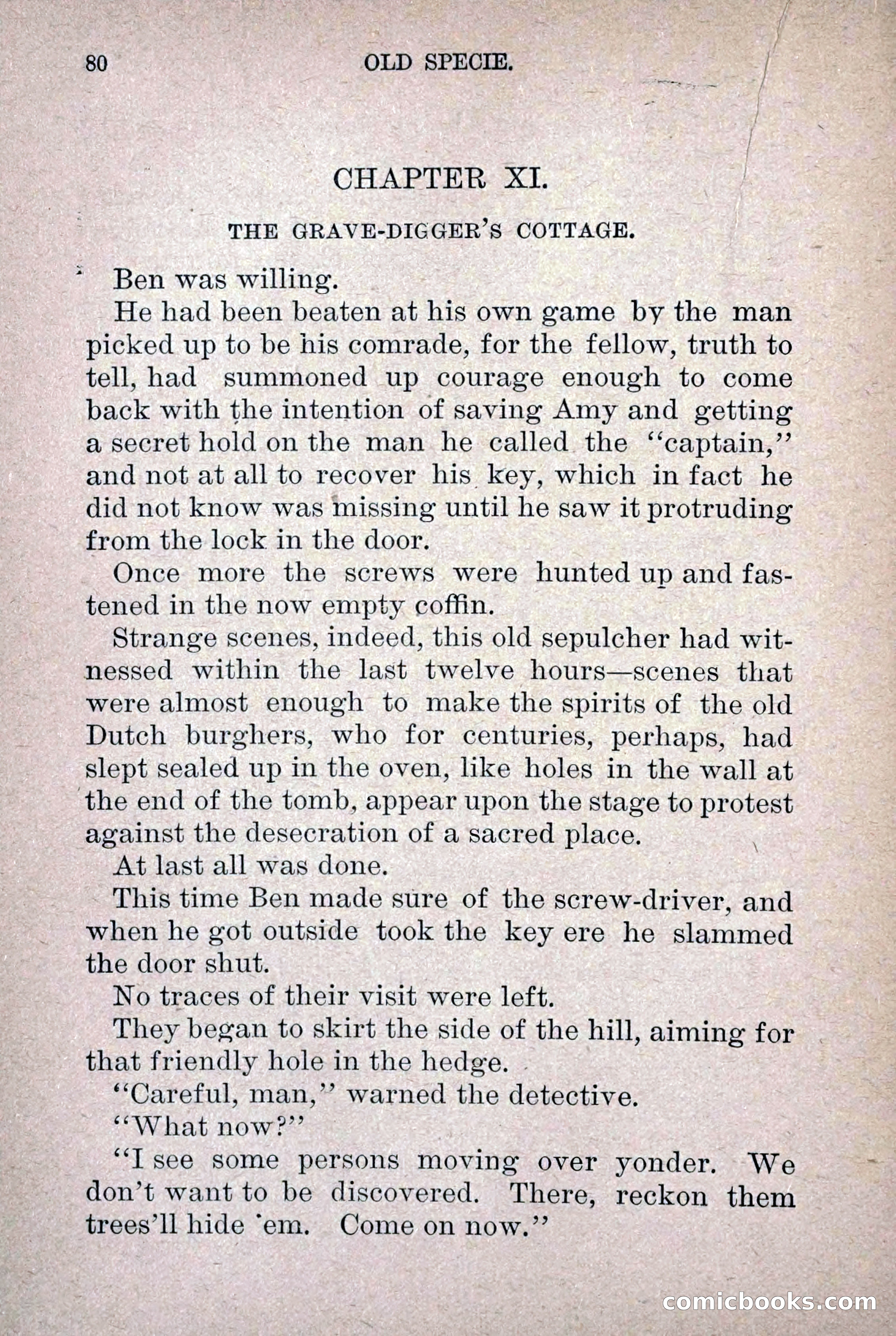 Old Specie, the Treasury Detective; or, The Harbor Lights of New York — page 88 of 220