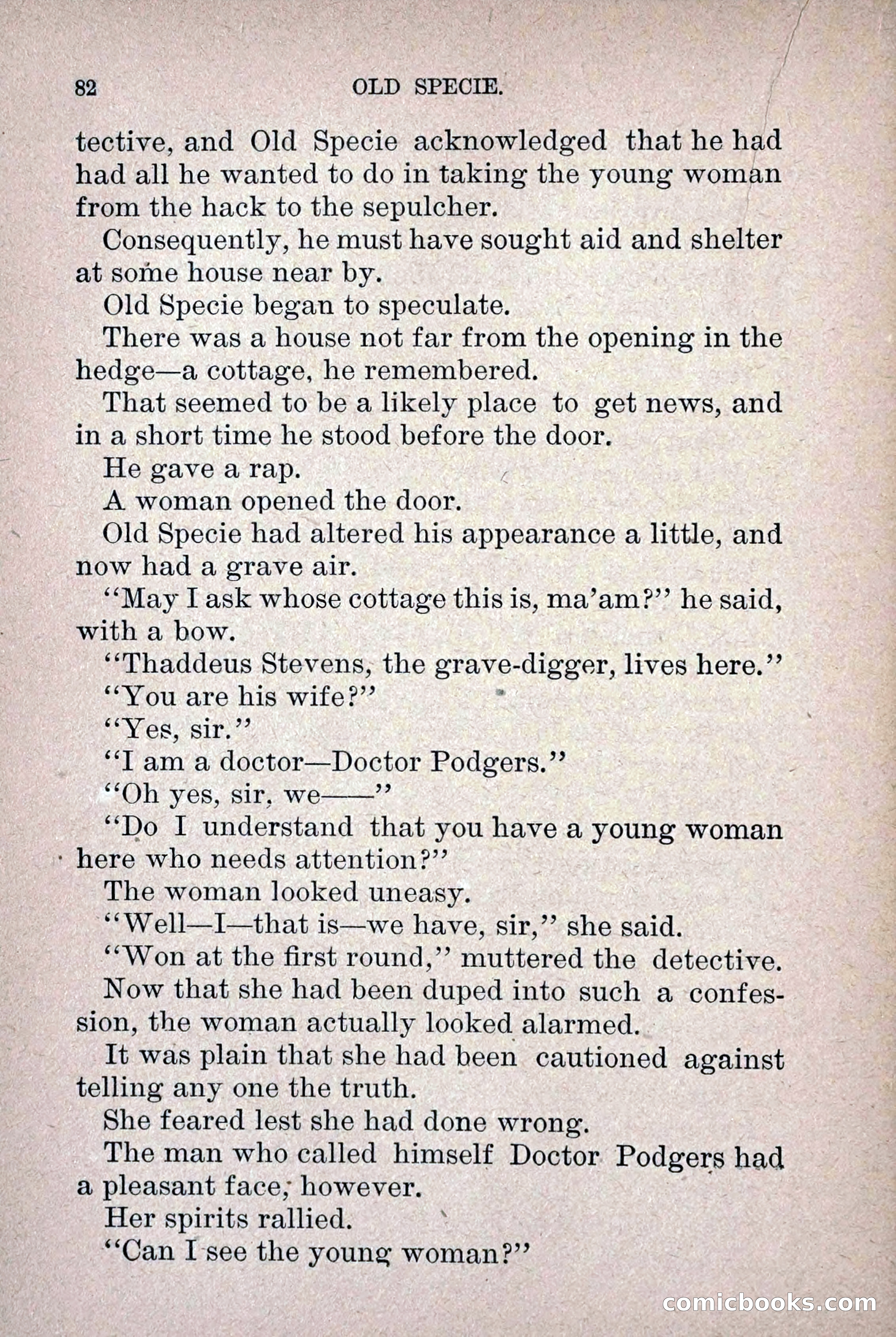 Old Specie, the Treasury Detective; or, The Harbor Lights of New York — page 90 of 220