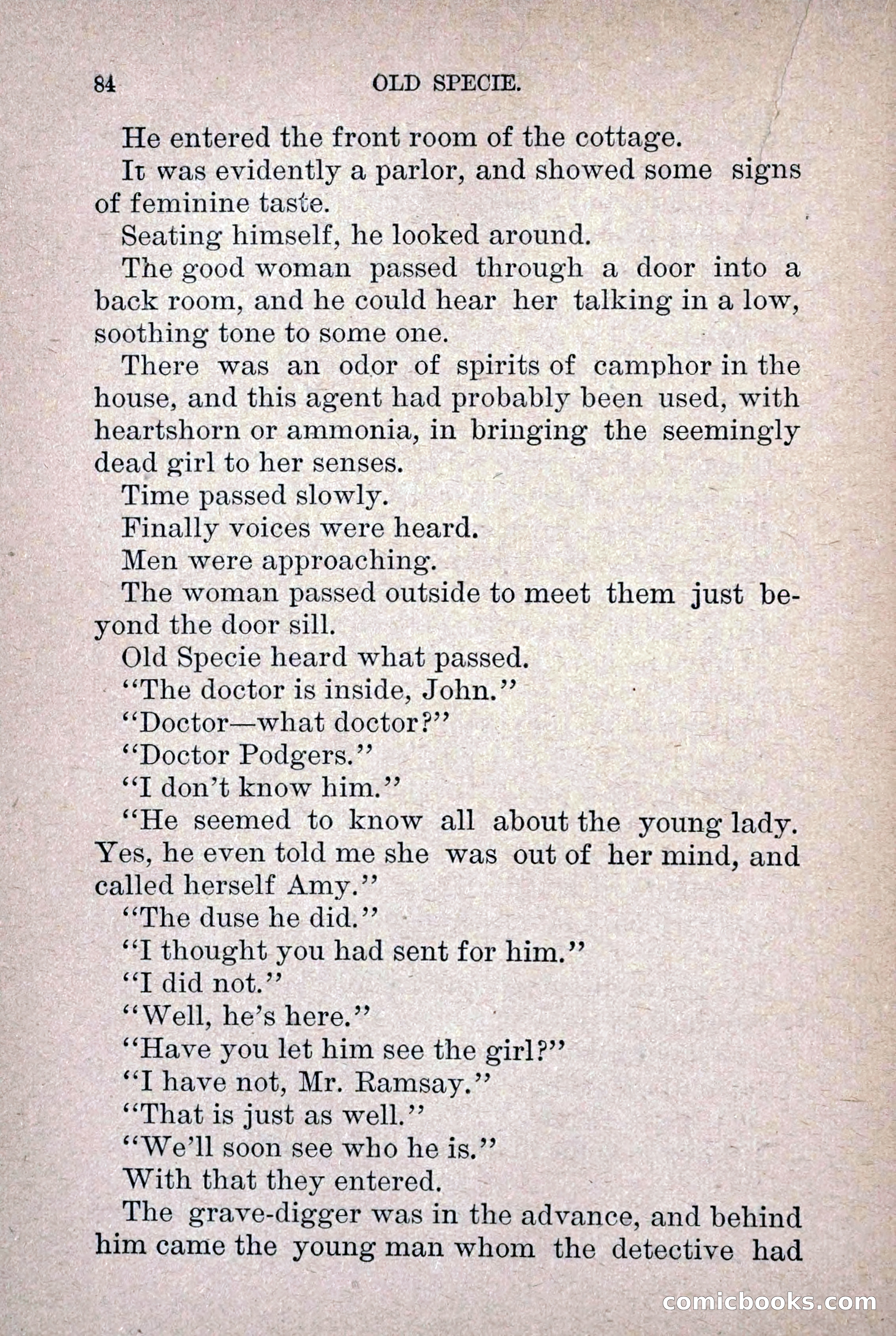 Old Specie, the Treasury Detective; or, The Harbor Lights of New York — page 92 of 220