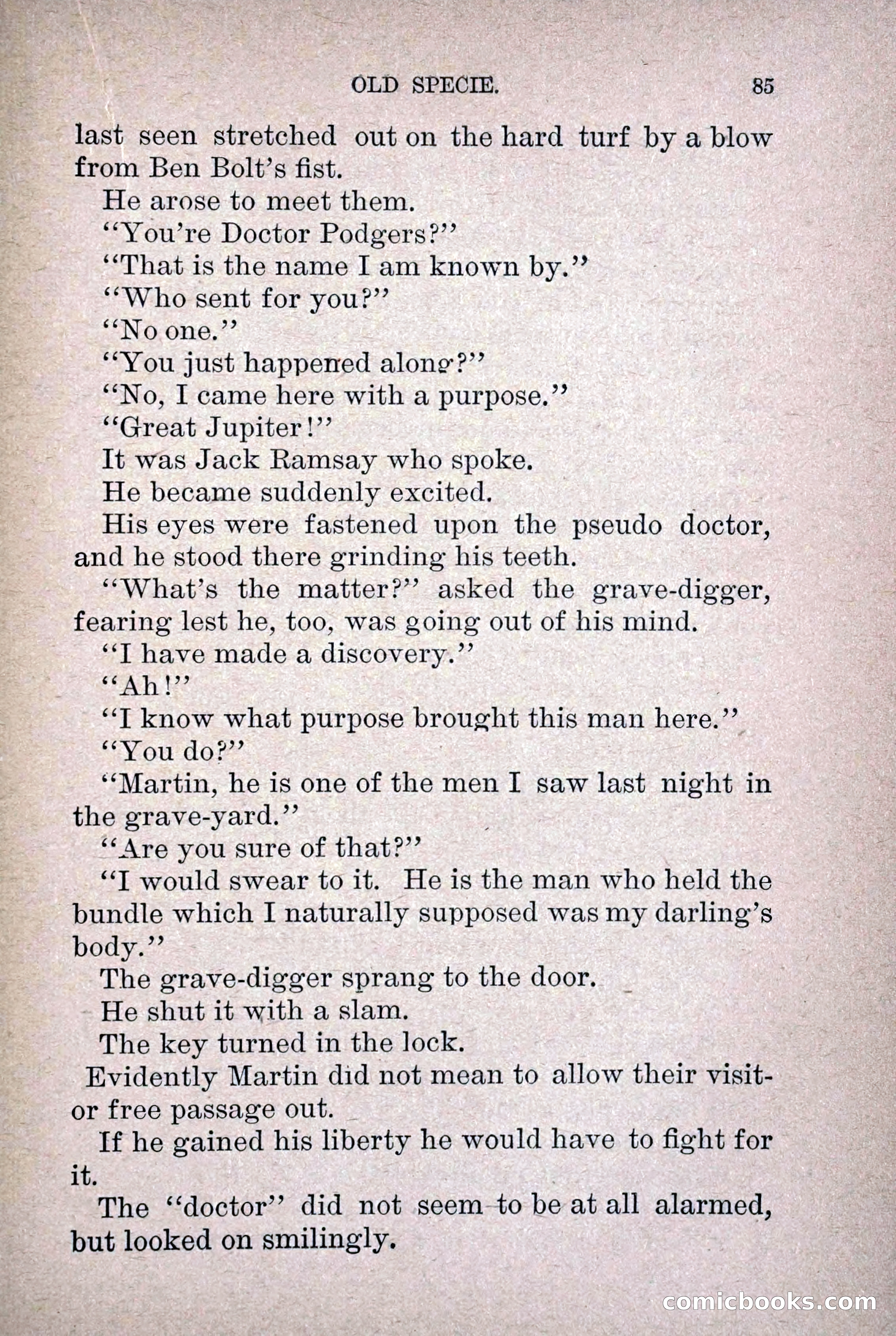 Old Specie, the Treasury Detective; or, The Harbor Lights of New York — page 93 of 220