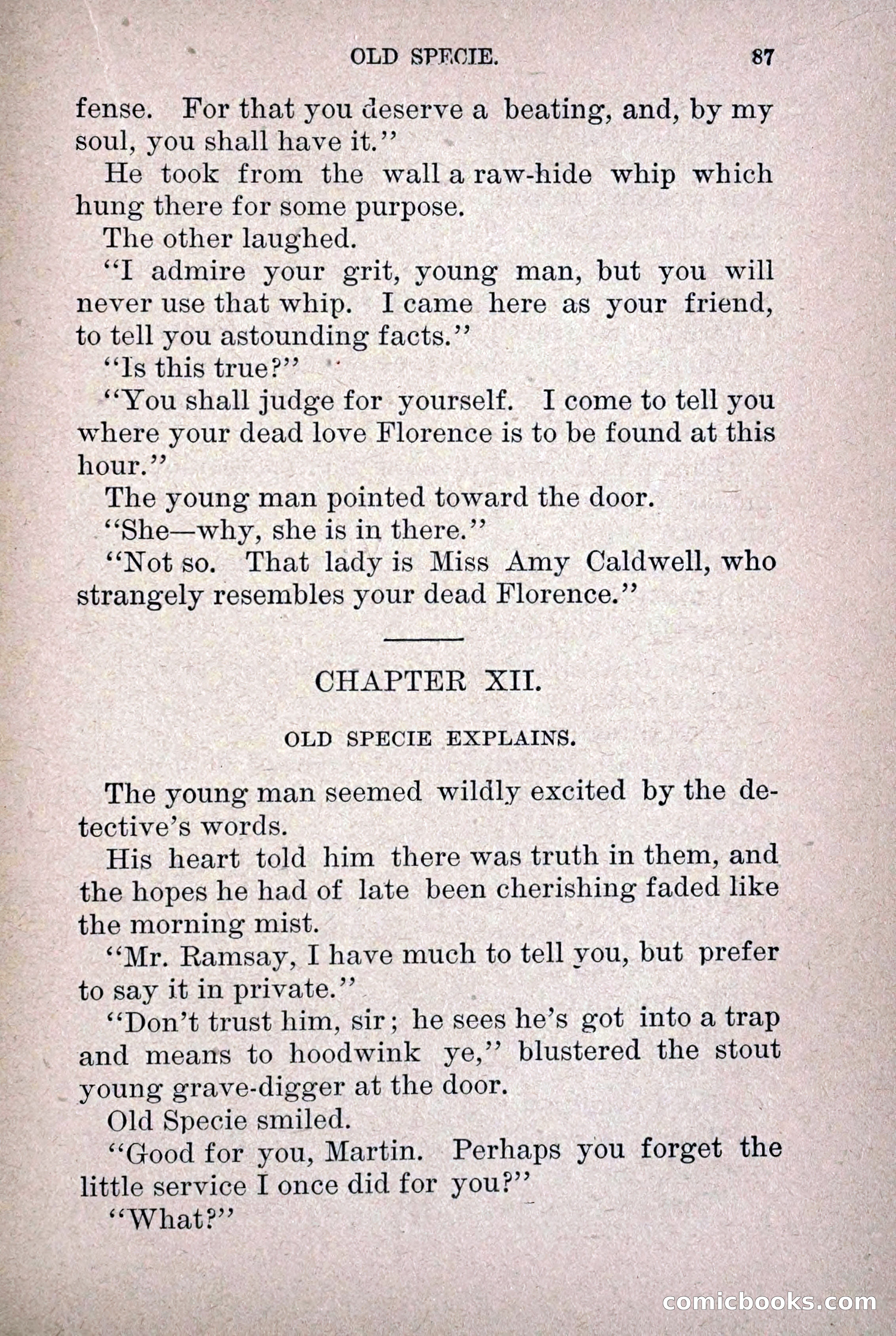 Old Specie, the Treasury Detective; or, The Harbor Lights of New York — page 95 of 220