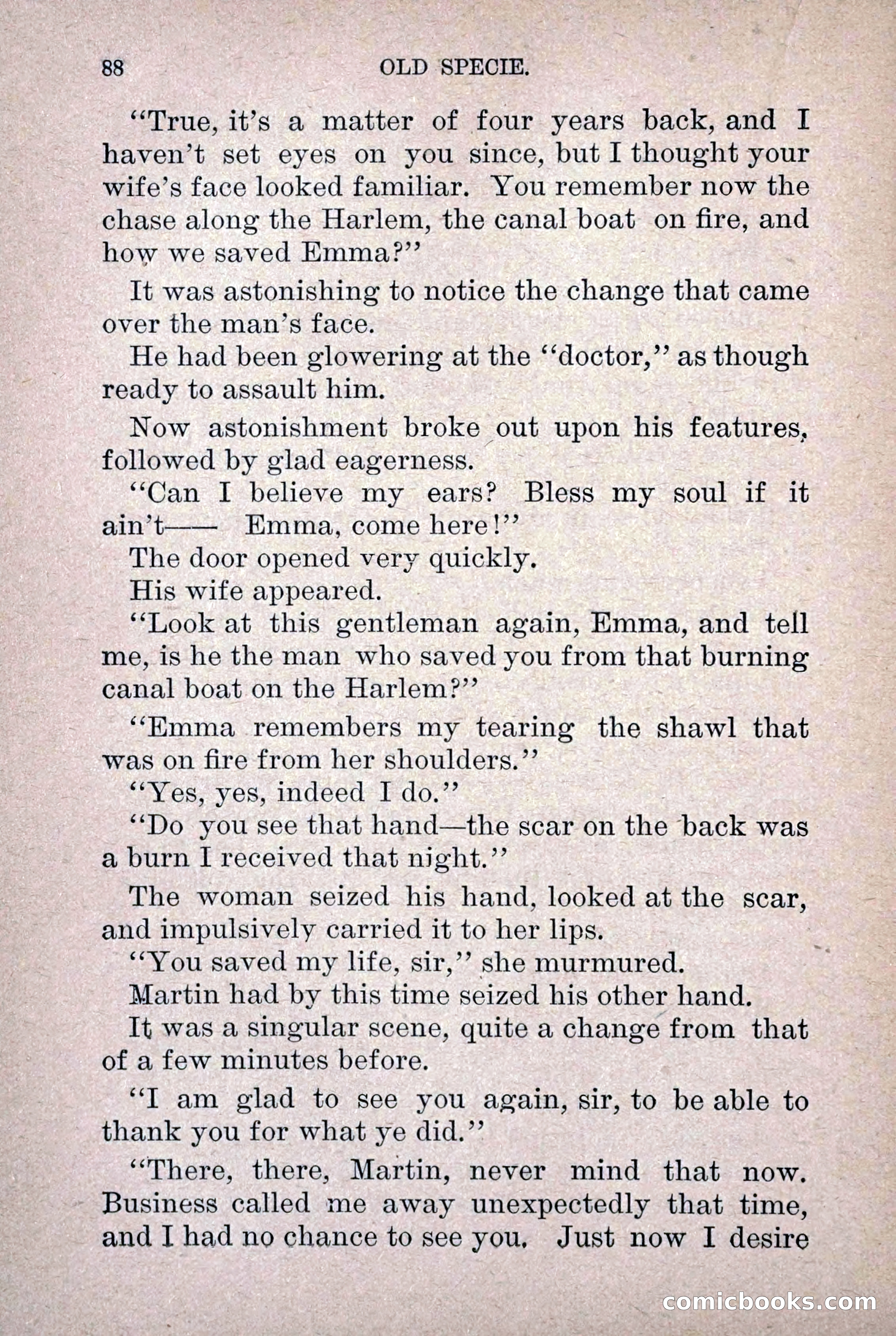 Old Specie, the Treasury Detective; or, The Harbor Lights of New York — page 96 of 220