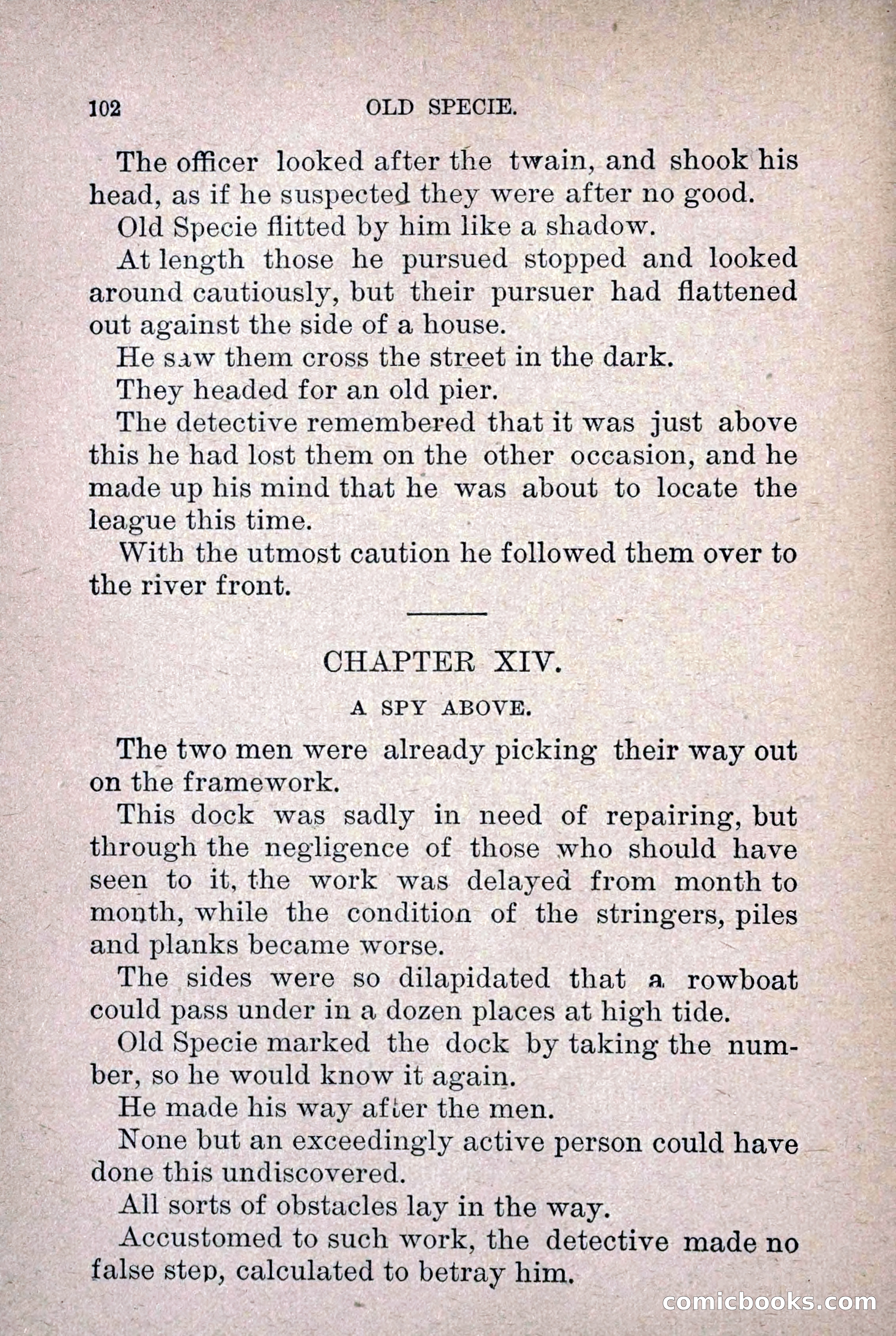 Old Specie, the Treasury Detective; or, The Harbor Lights of New York — page 110 of 220