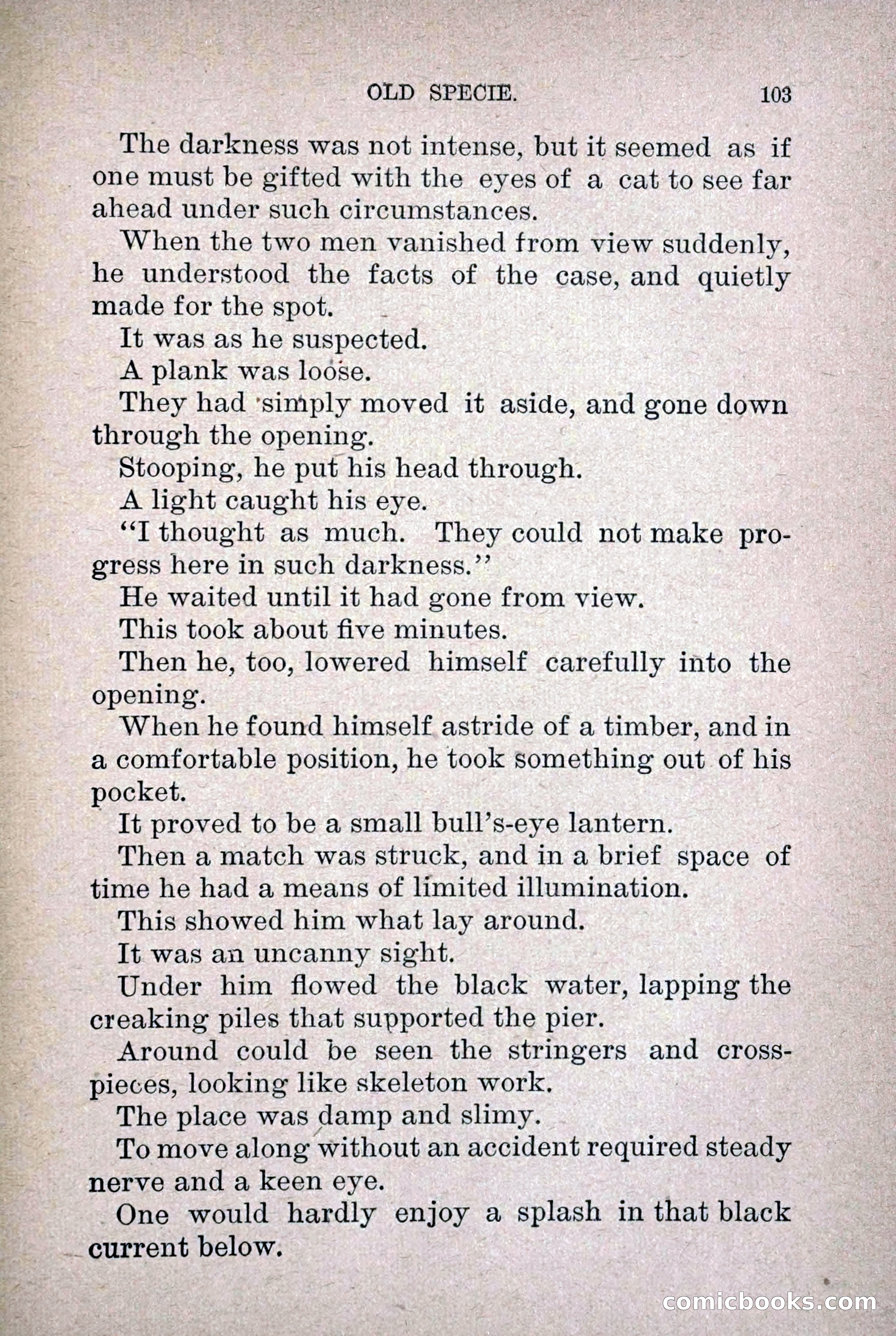 Old Specie, the Treasury Detective; or, The Harbor Lights of New York — page 111 of 220