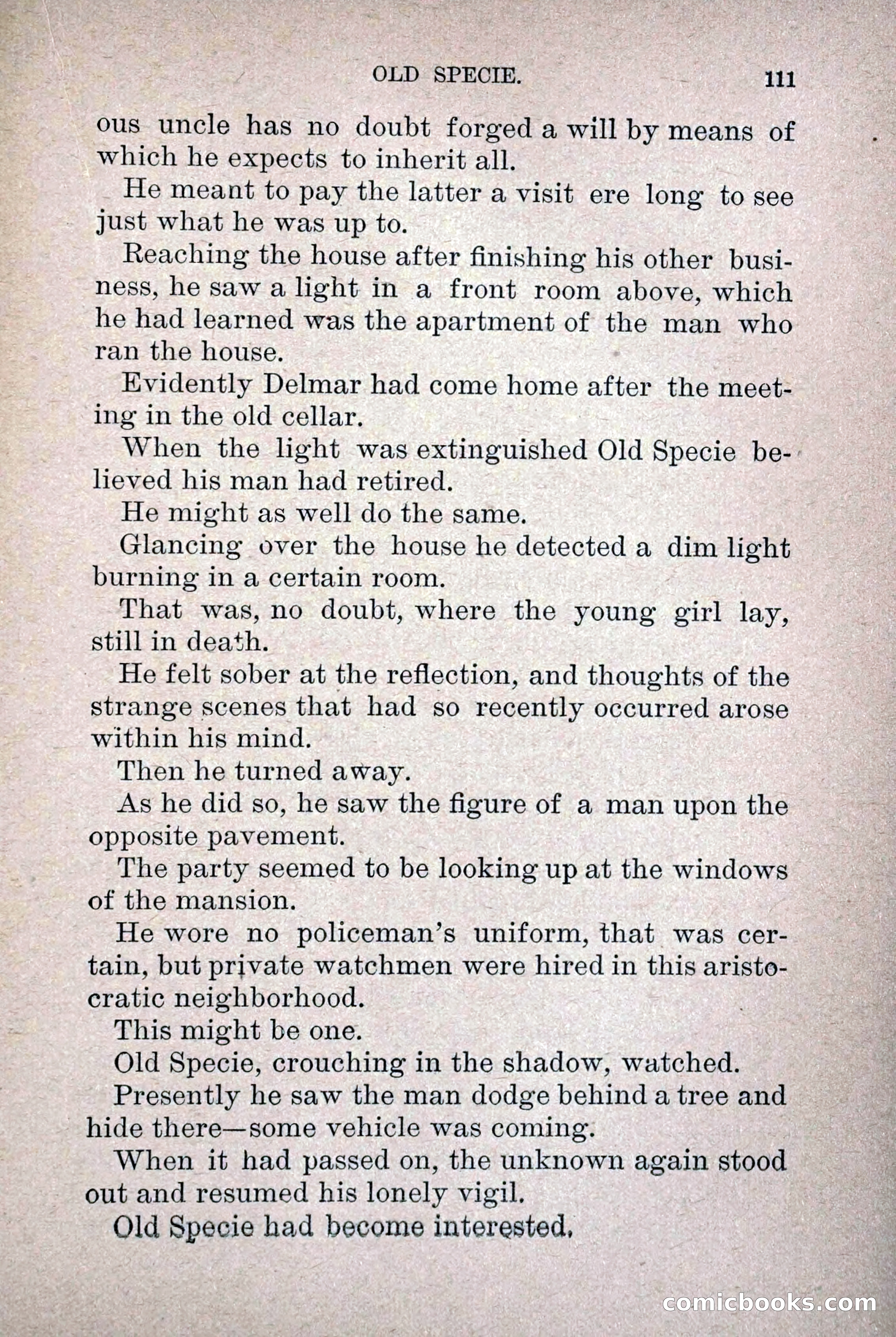 Old Specie, the Treasury Detective; or, The Harbor Lights of New York — page 119 of 220
