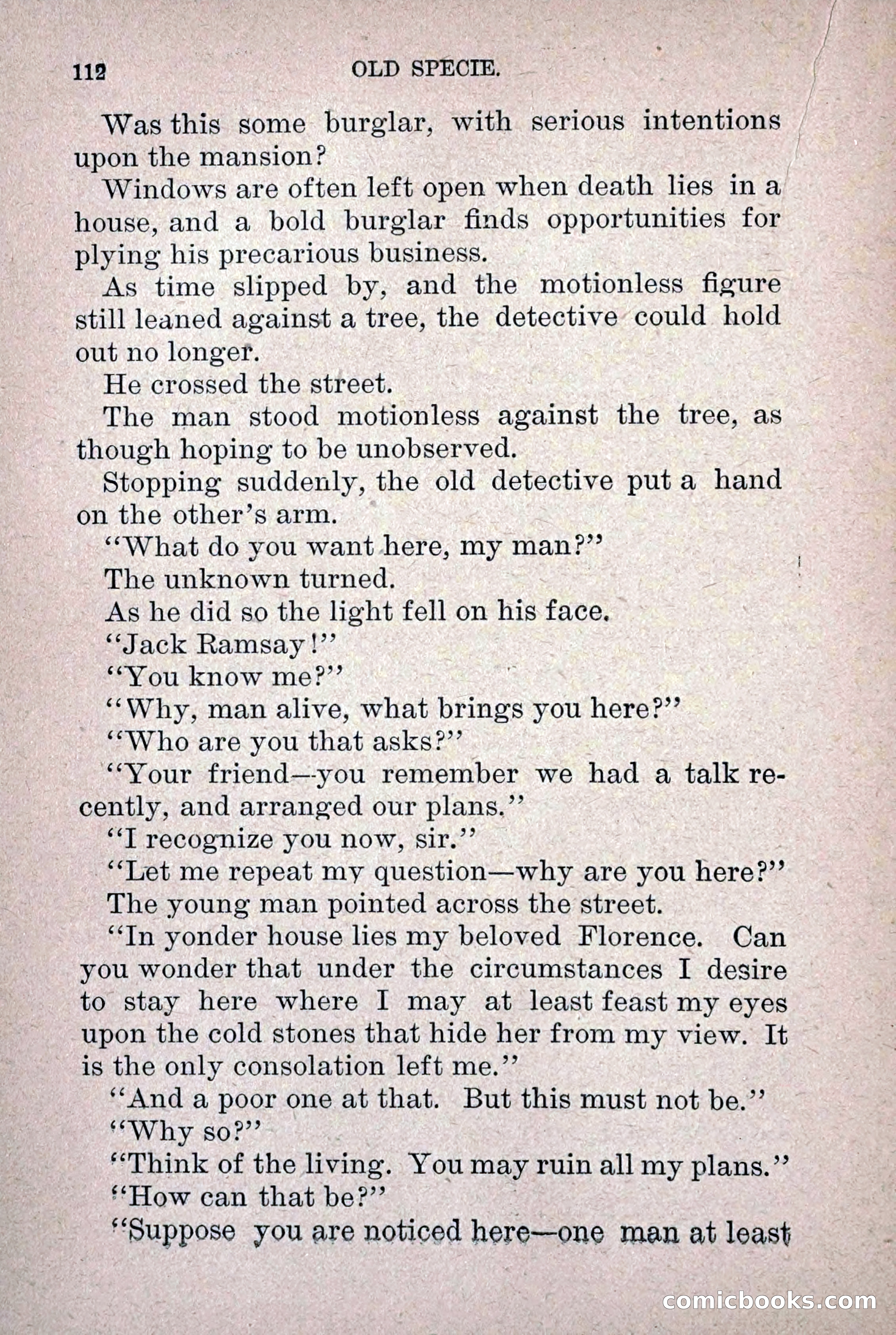 Old Specie, the Treasury Detective; or, The Harbor Lights of New York — page 120 of 220