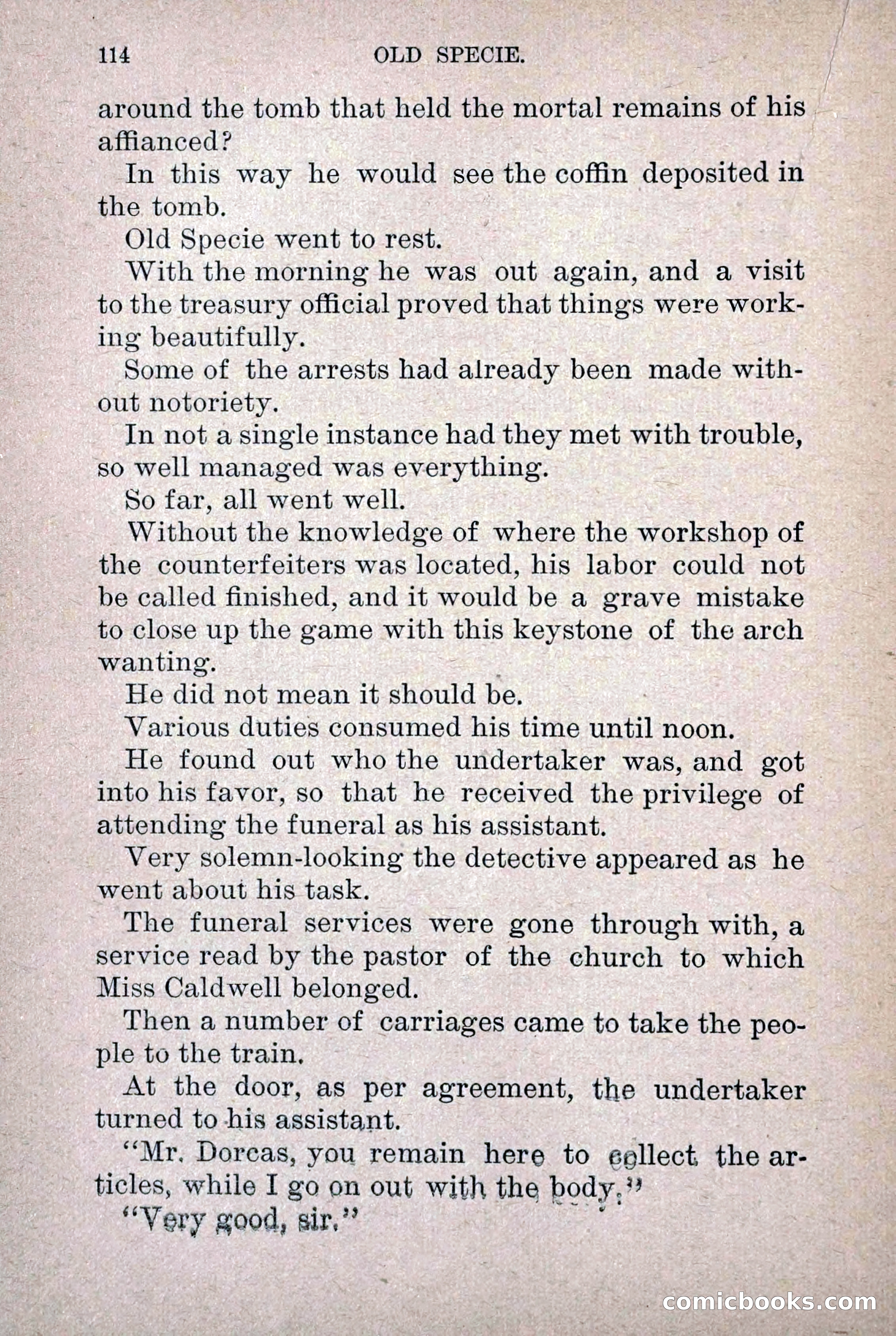 Old Specie, the Treasury Detective; or, The Harbor Lights of New York — page 122 of 220