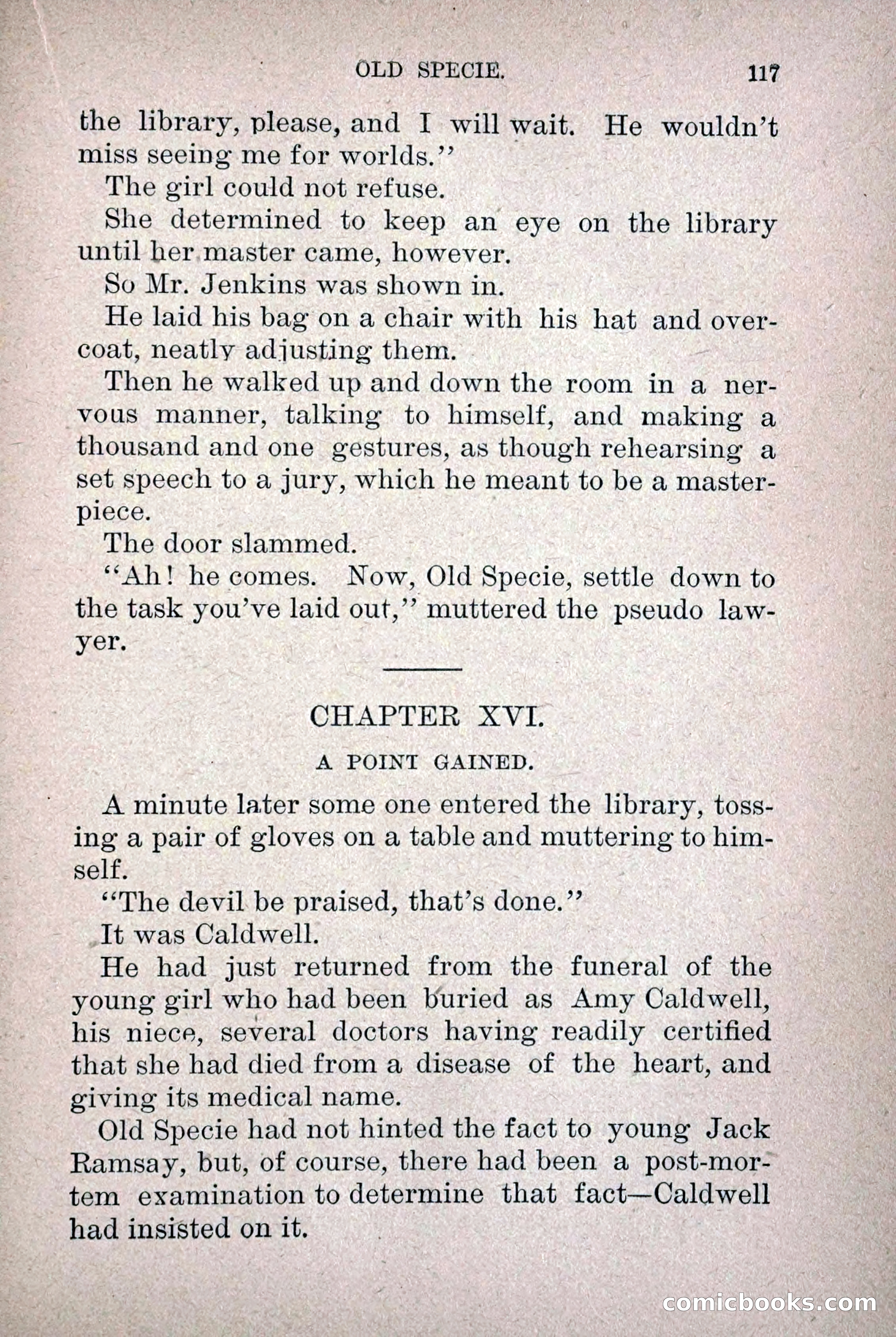 Old Specie, the Treasury Detective; or, The Harbor Lights of New York — page 125 of 220