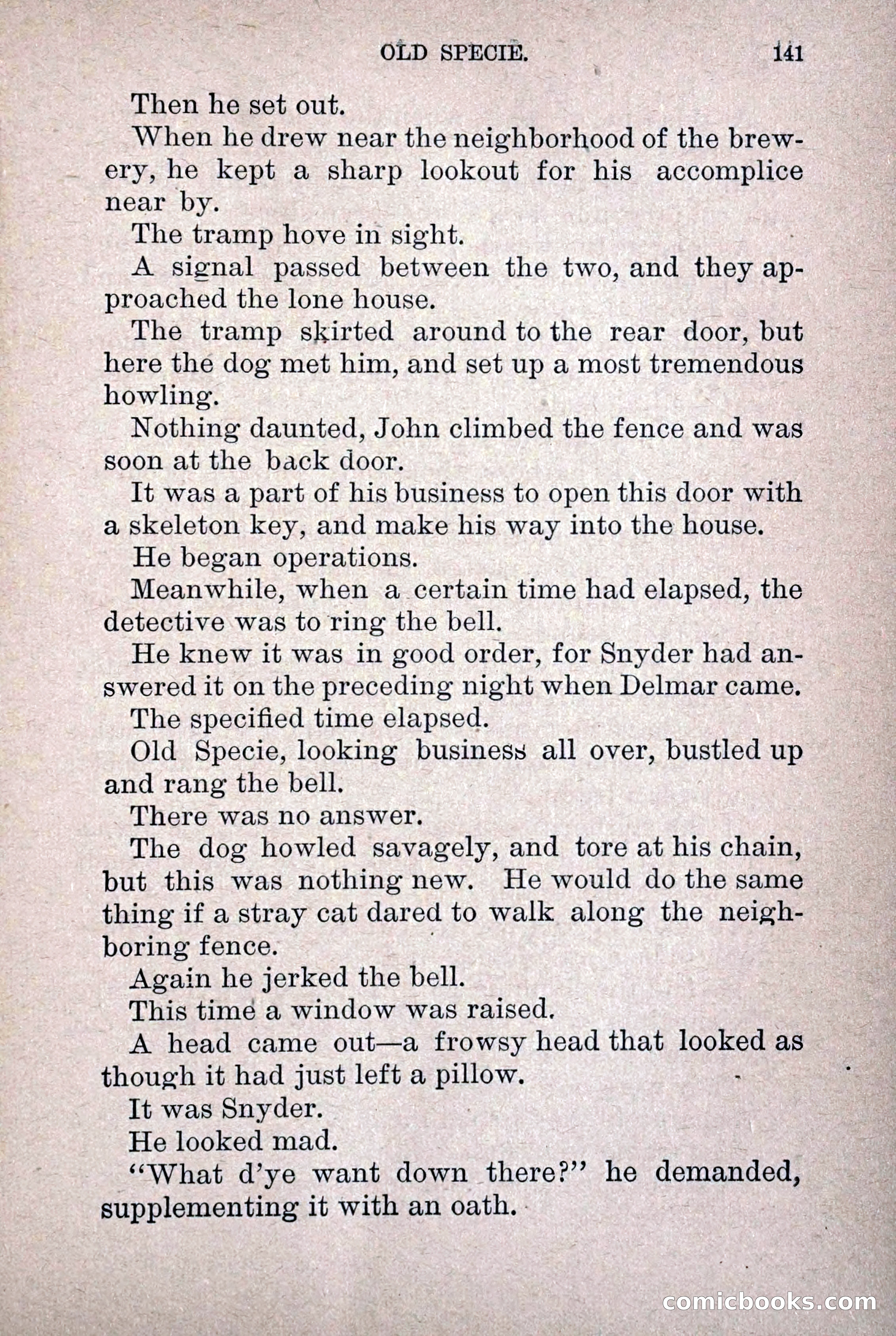 Old Specie, the Treasury Detective; or, The Harbor Lights of New York — page 149 of 220