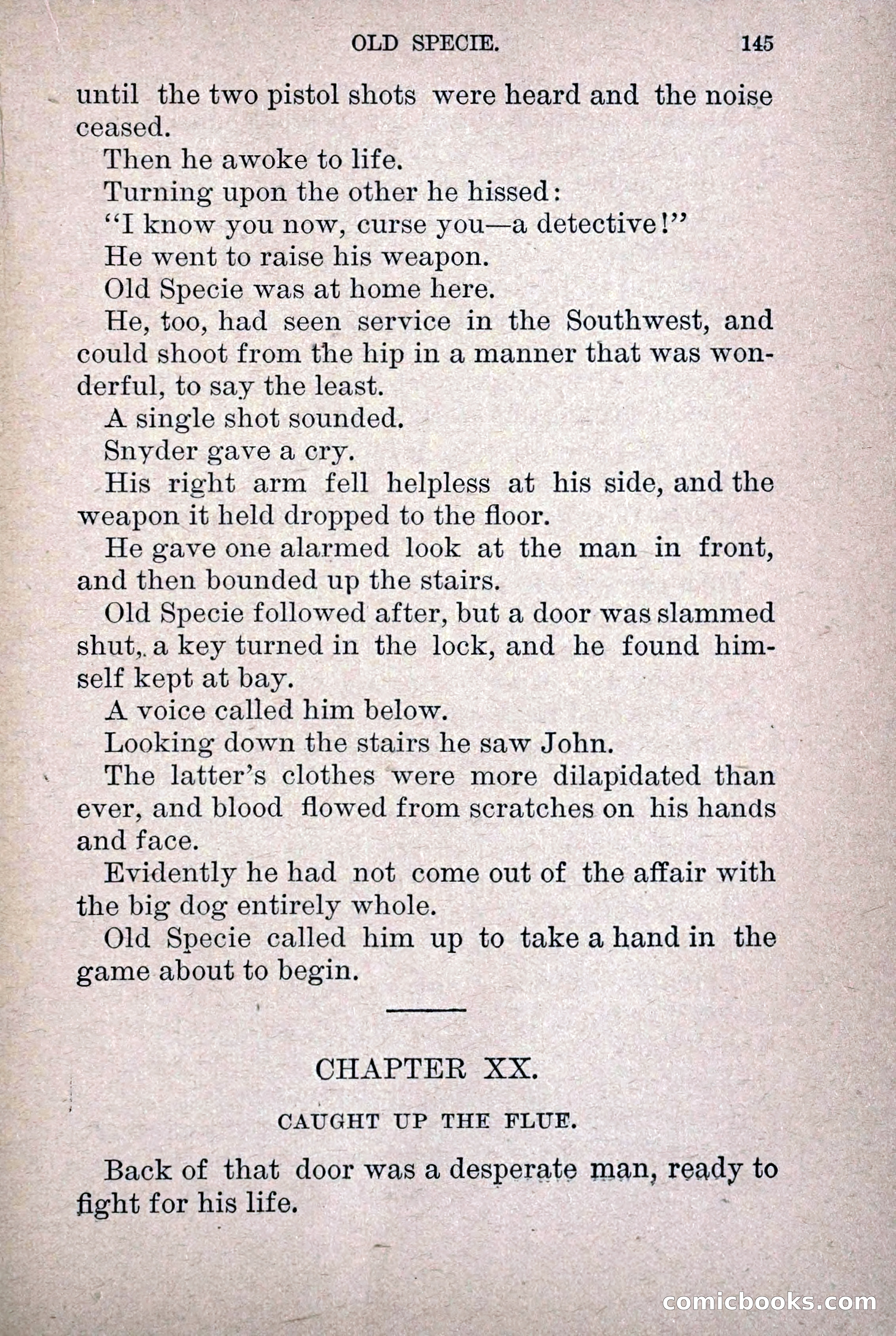 Old Specie, the Treasury Detective; or, The Harbor Lights of New York — page 153 of 220