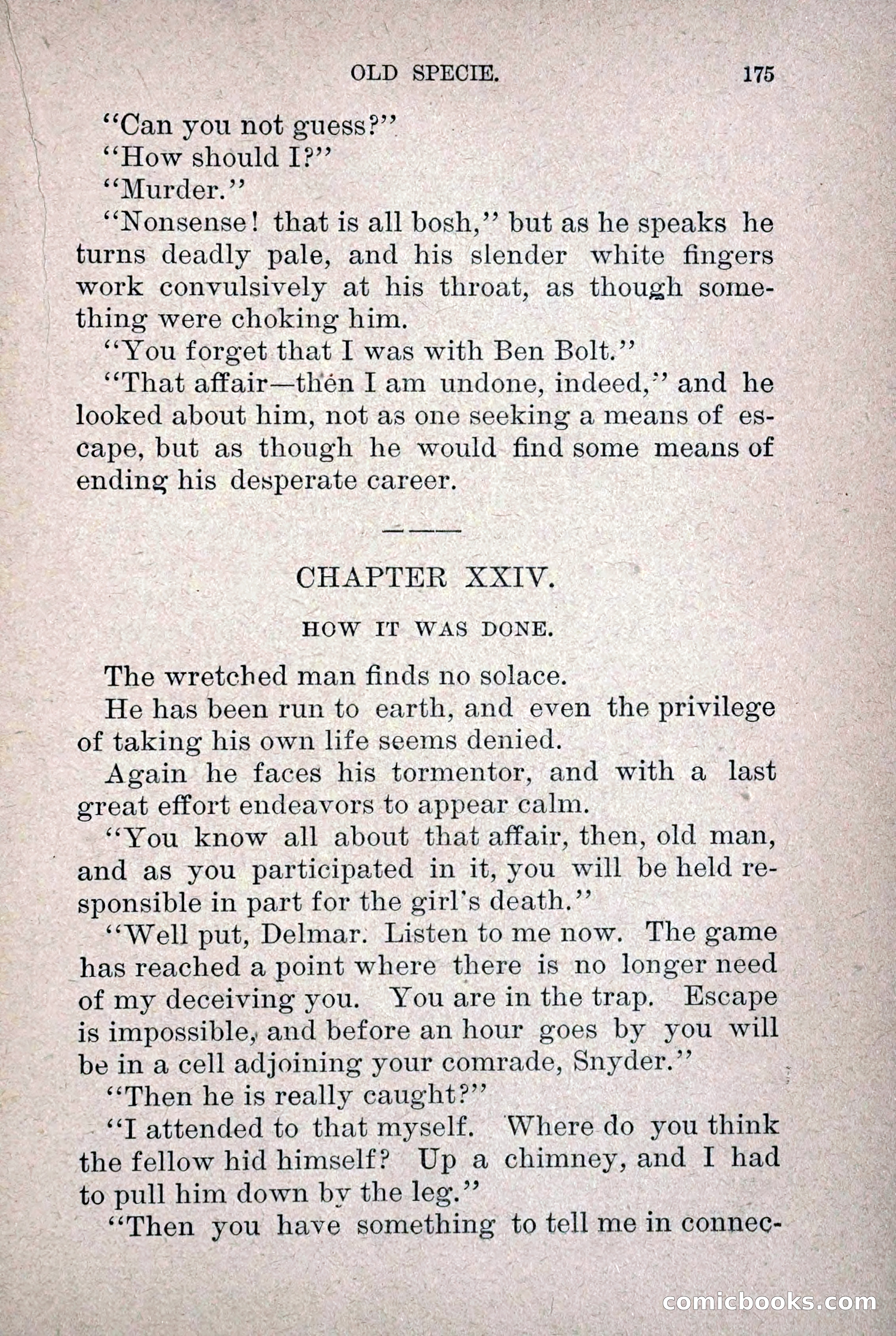 Old Specie, the Treasury Detective; or, The Harbor Lights of New York — page 183 of 220