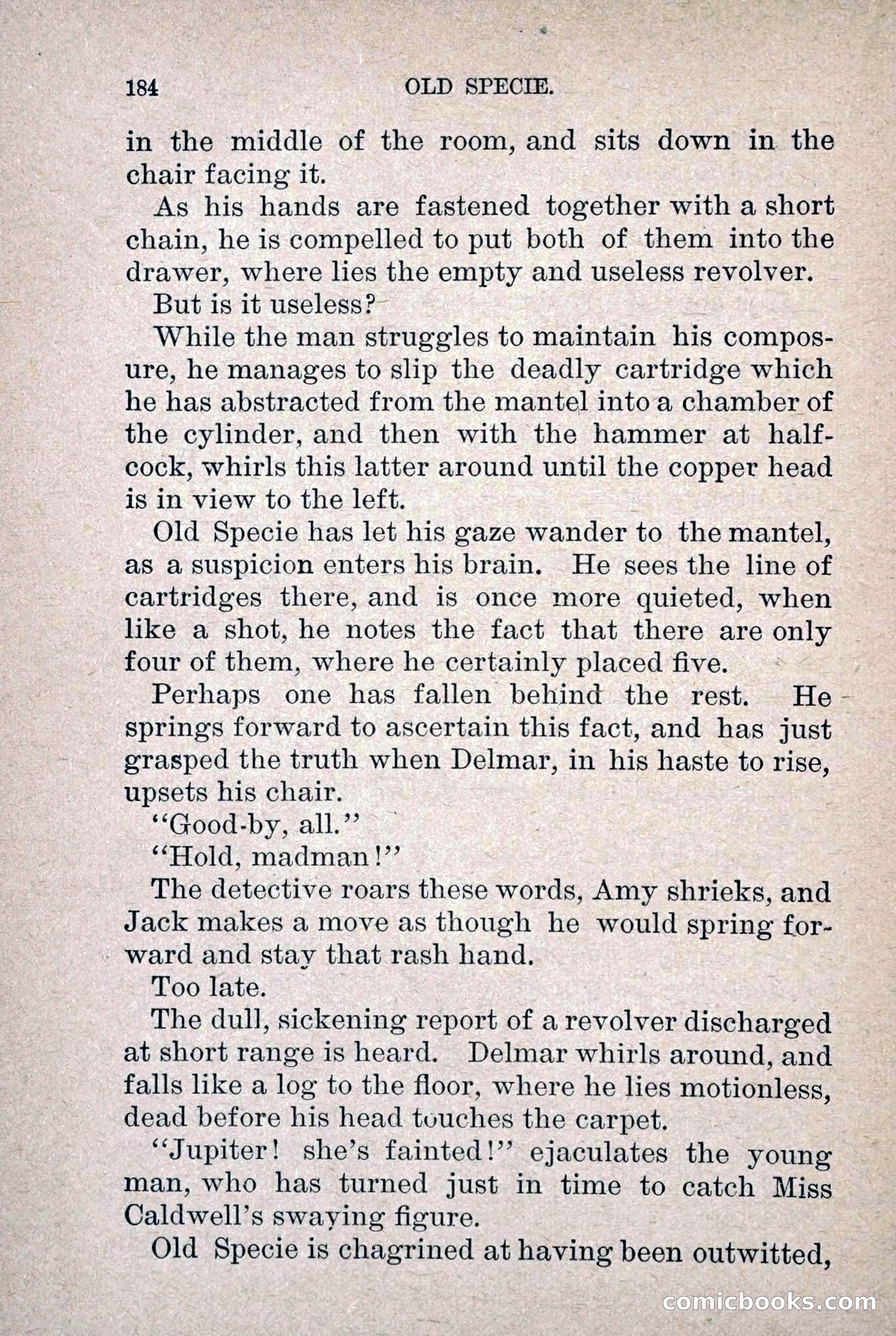Old Specie, the Treasury Detective; or, The Harbor Lights of New York — page 192 of 220