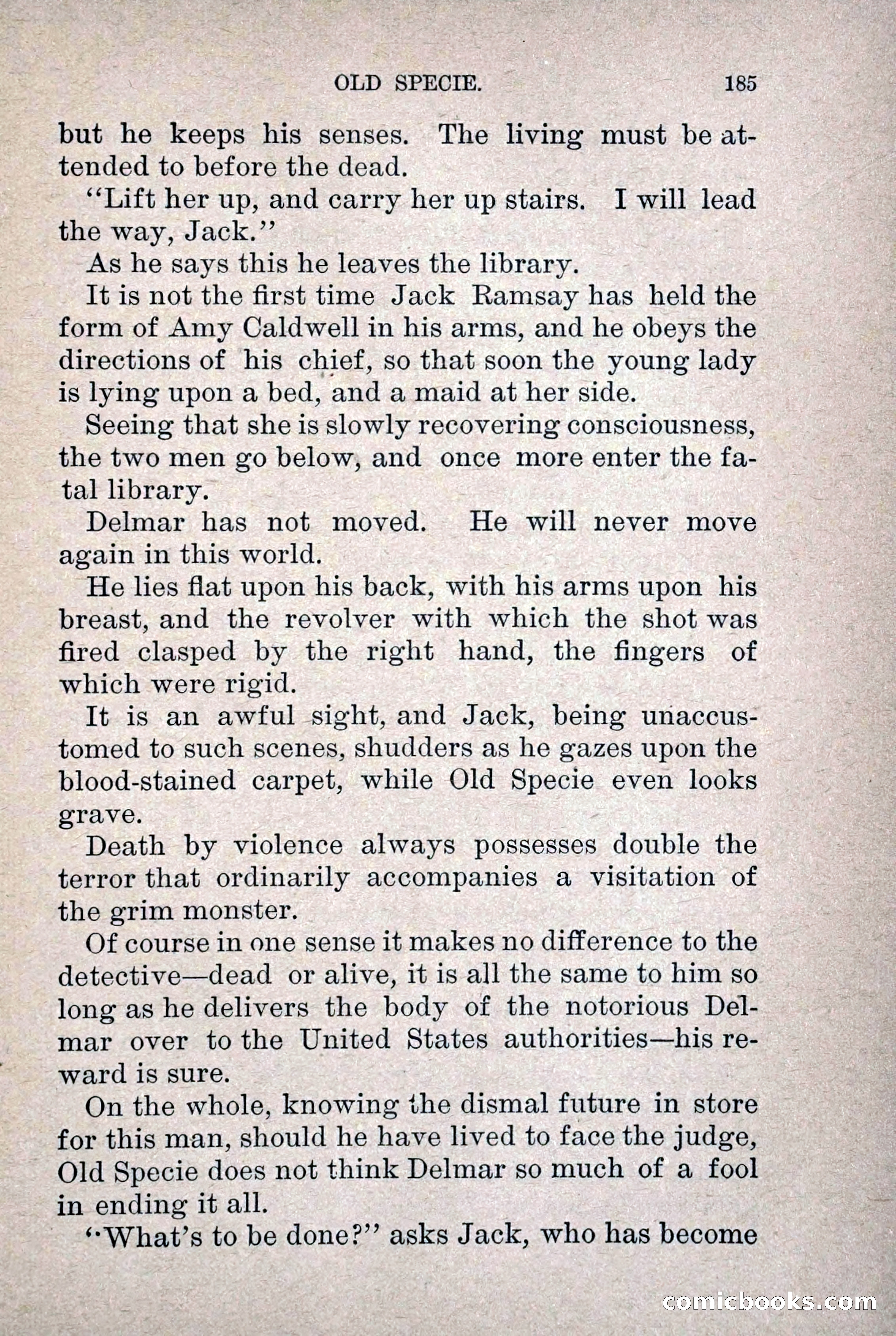 Old Specie, the Treasury Detective; or, The Harbor Lights of New York — page 193 of 220