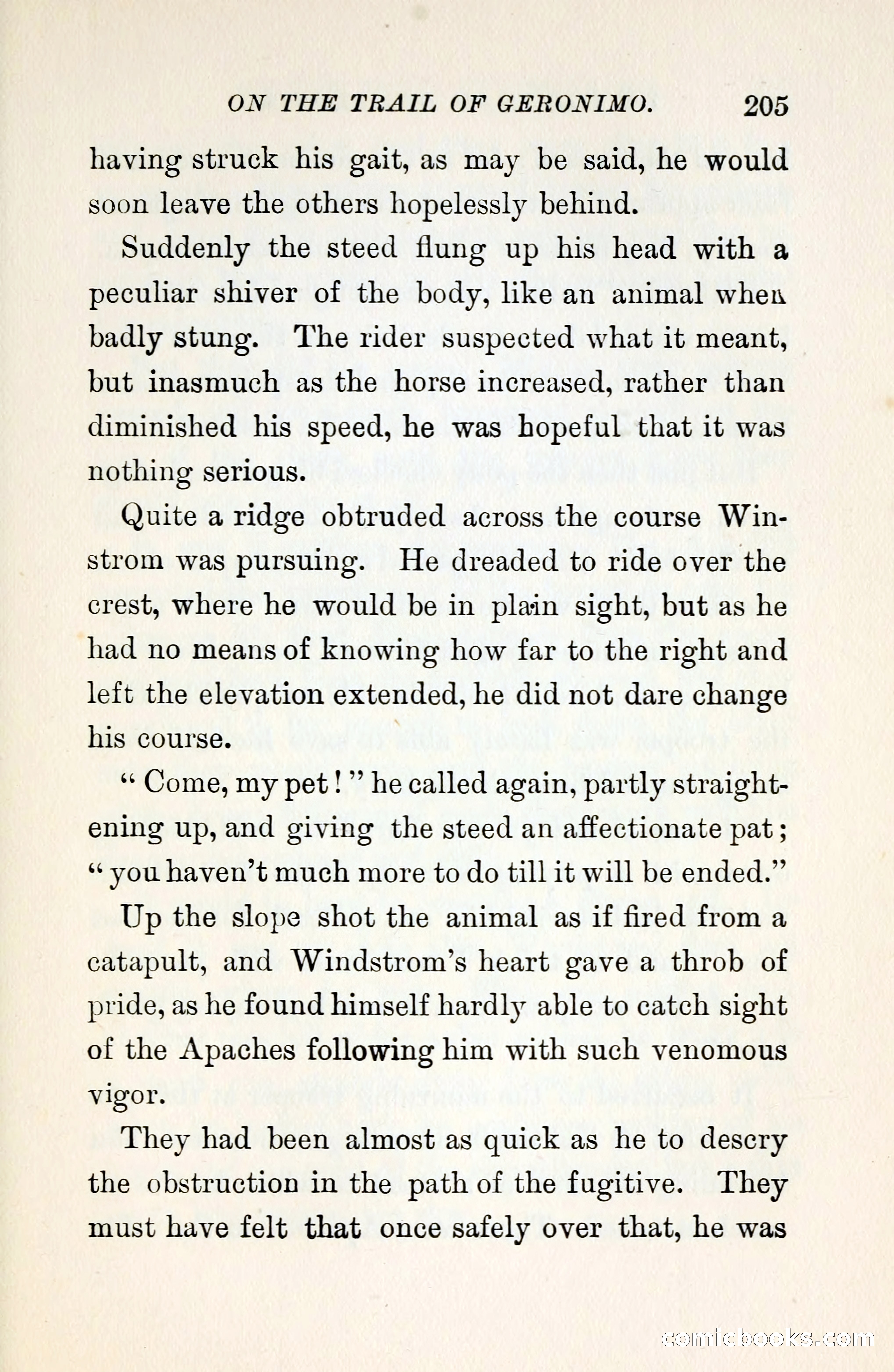 On the Trail of Geronimo — page 217 of 356