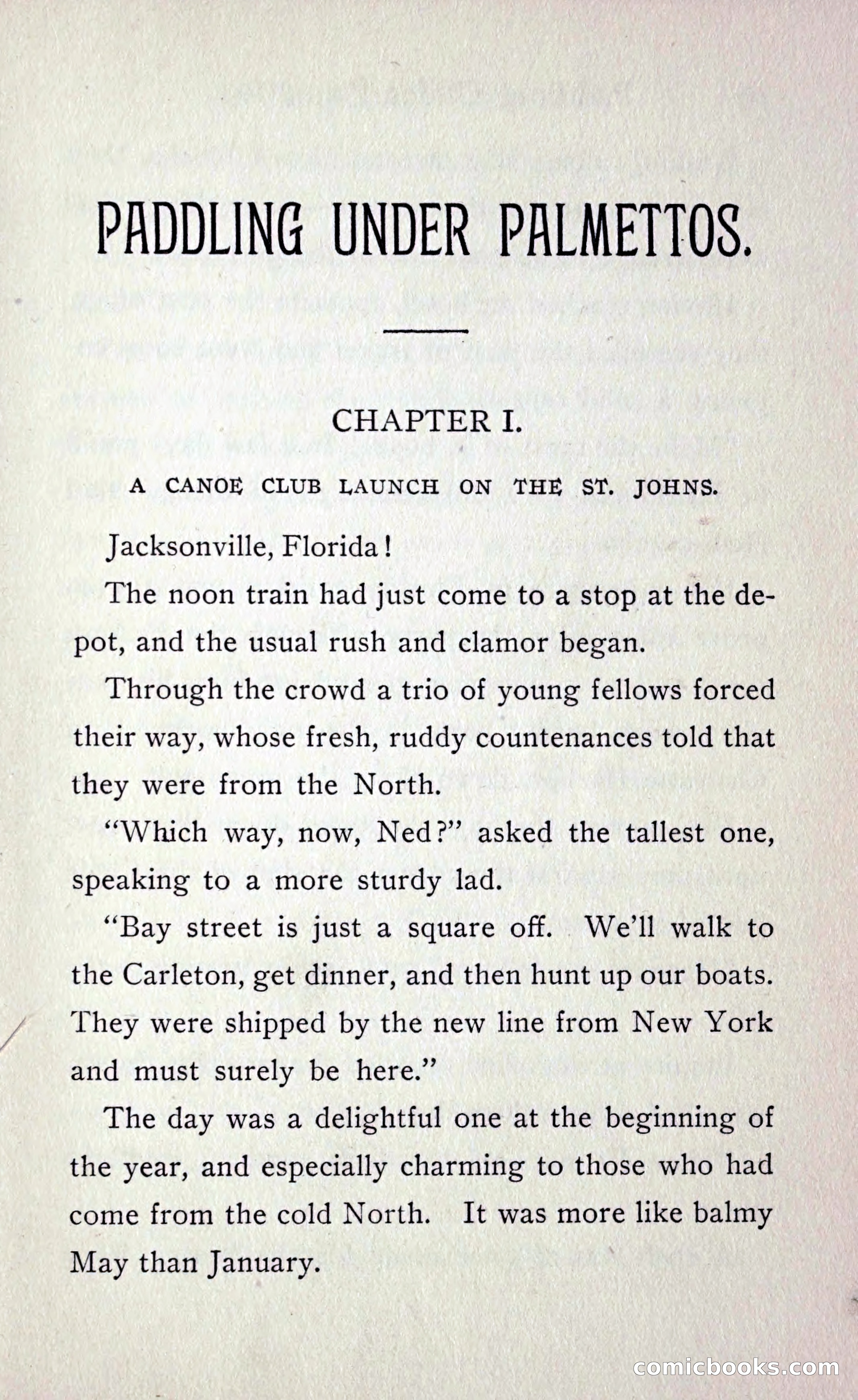 Paddling under Palmettos — page 12 of 299