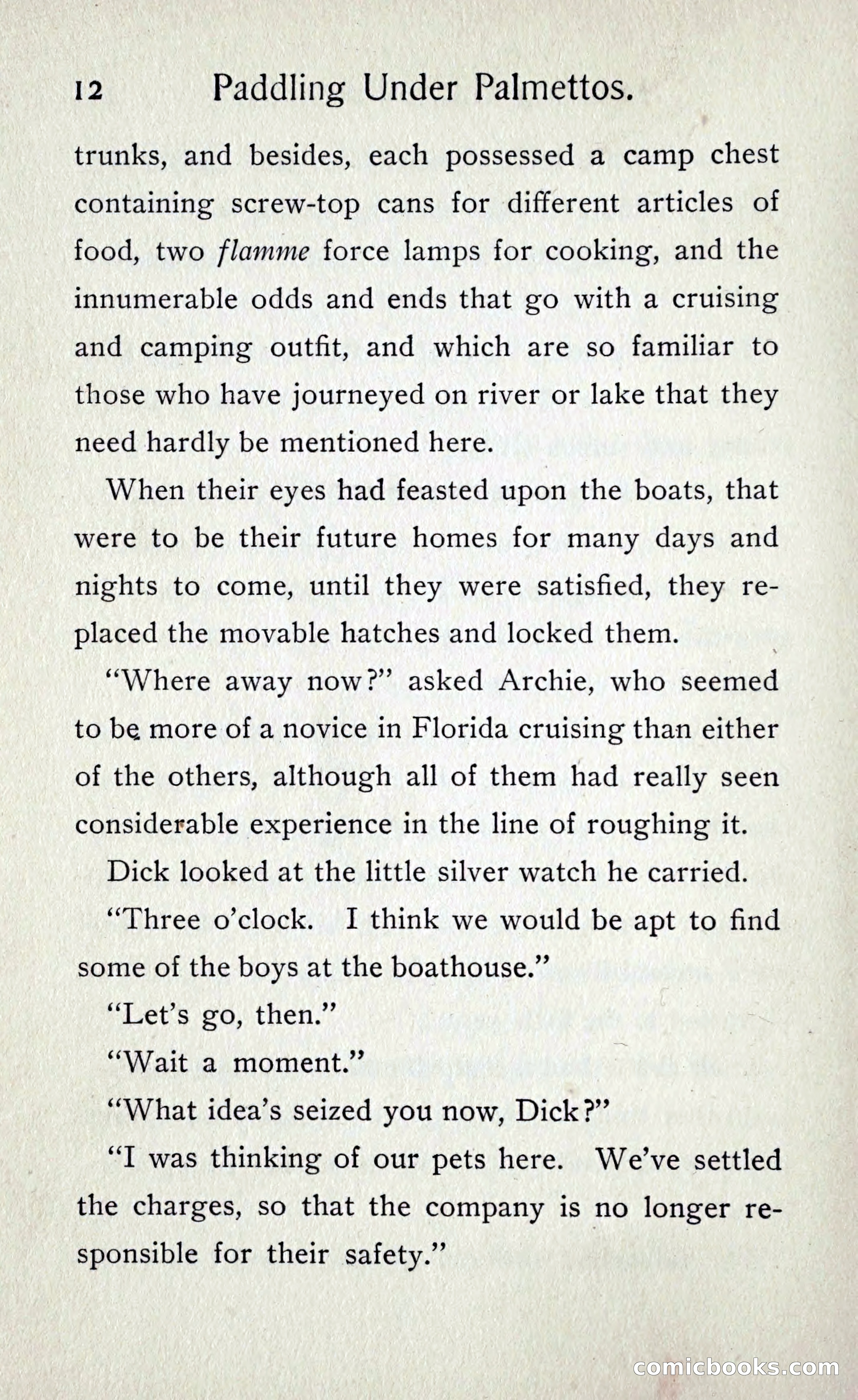 Paddling under Palmettos — page 15 of 299