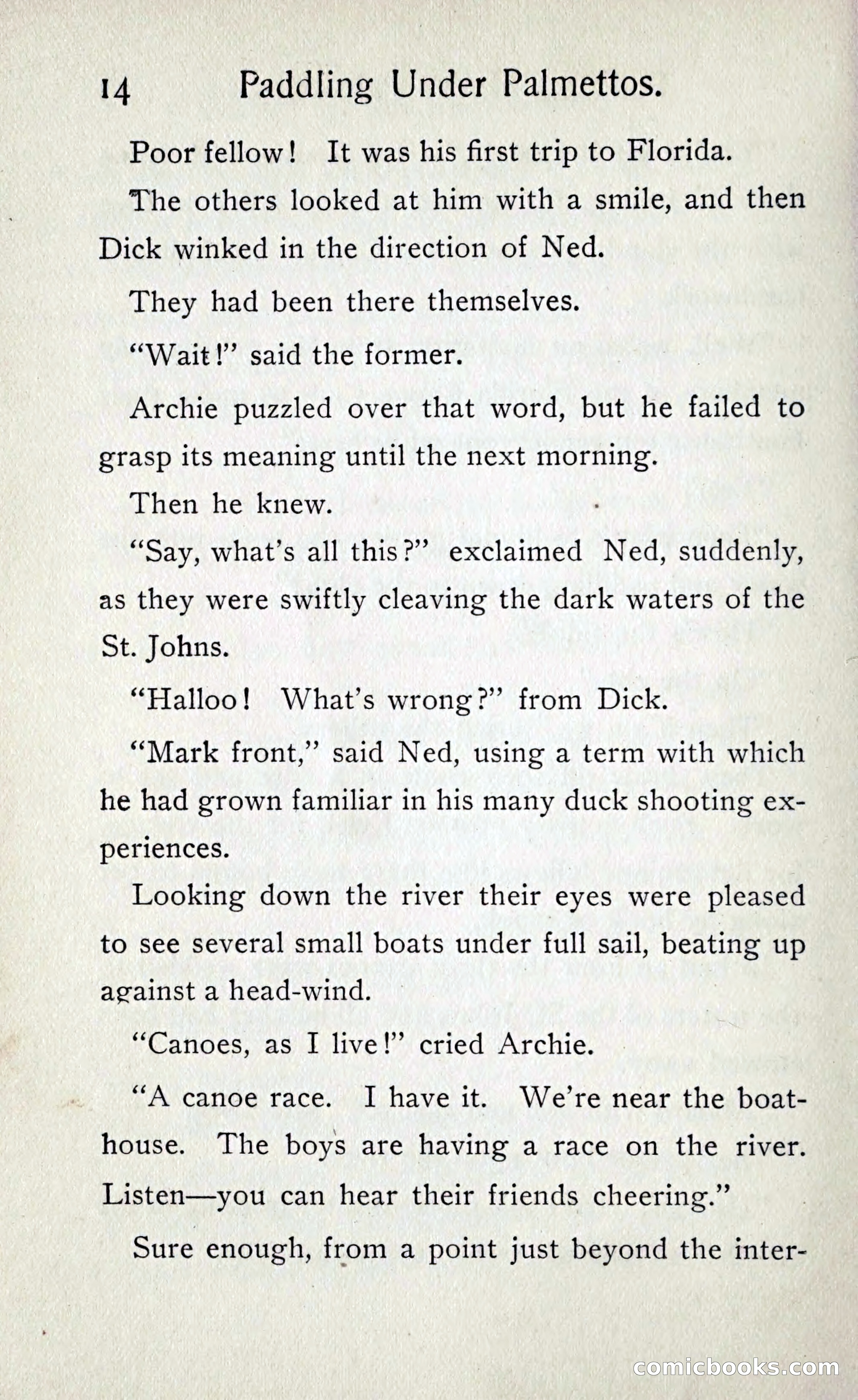 Paddling under Palmettos — page 17 of 299