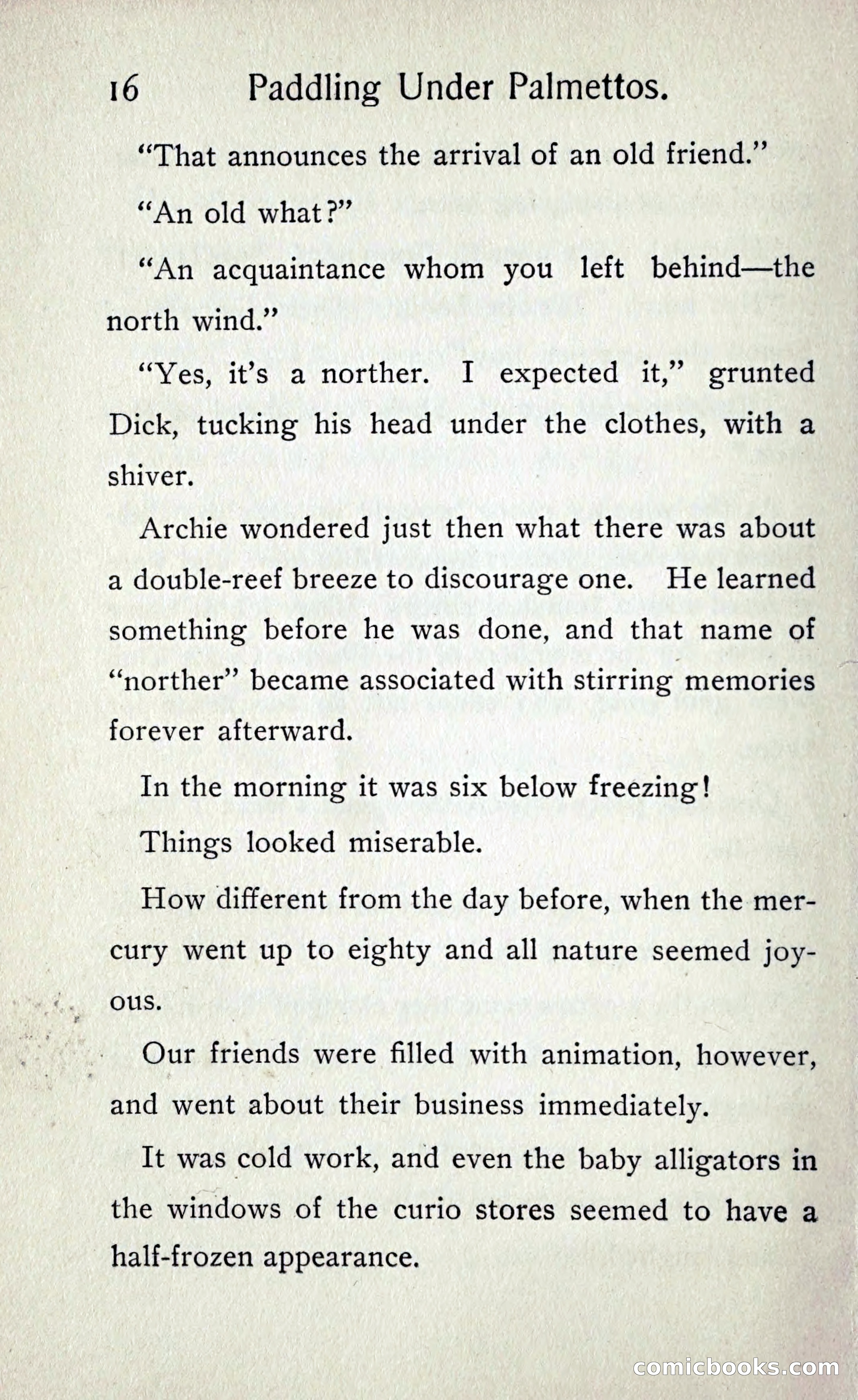 Paddling under Palmettos — page 19 of 299