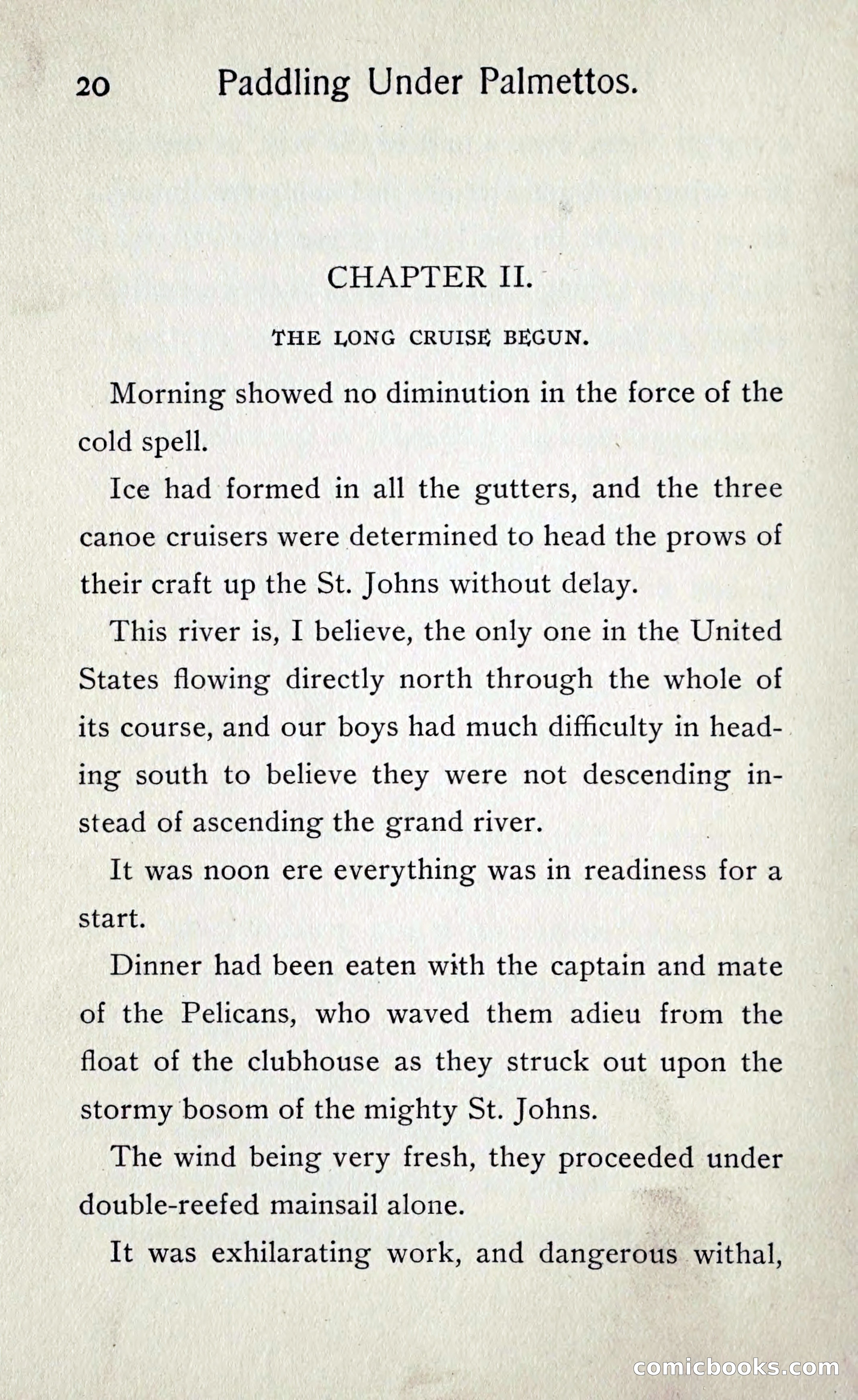Paddling under Palmettos — page 23 of 299