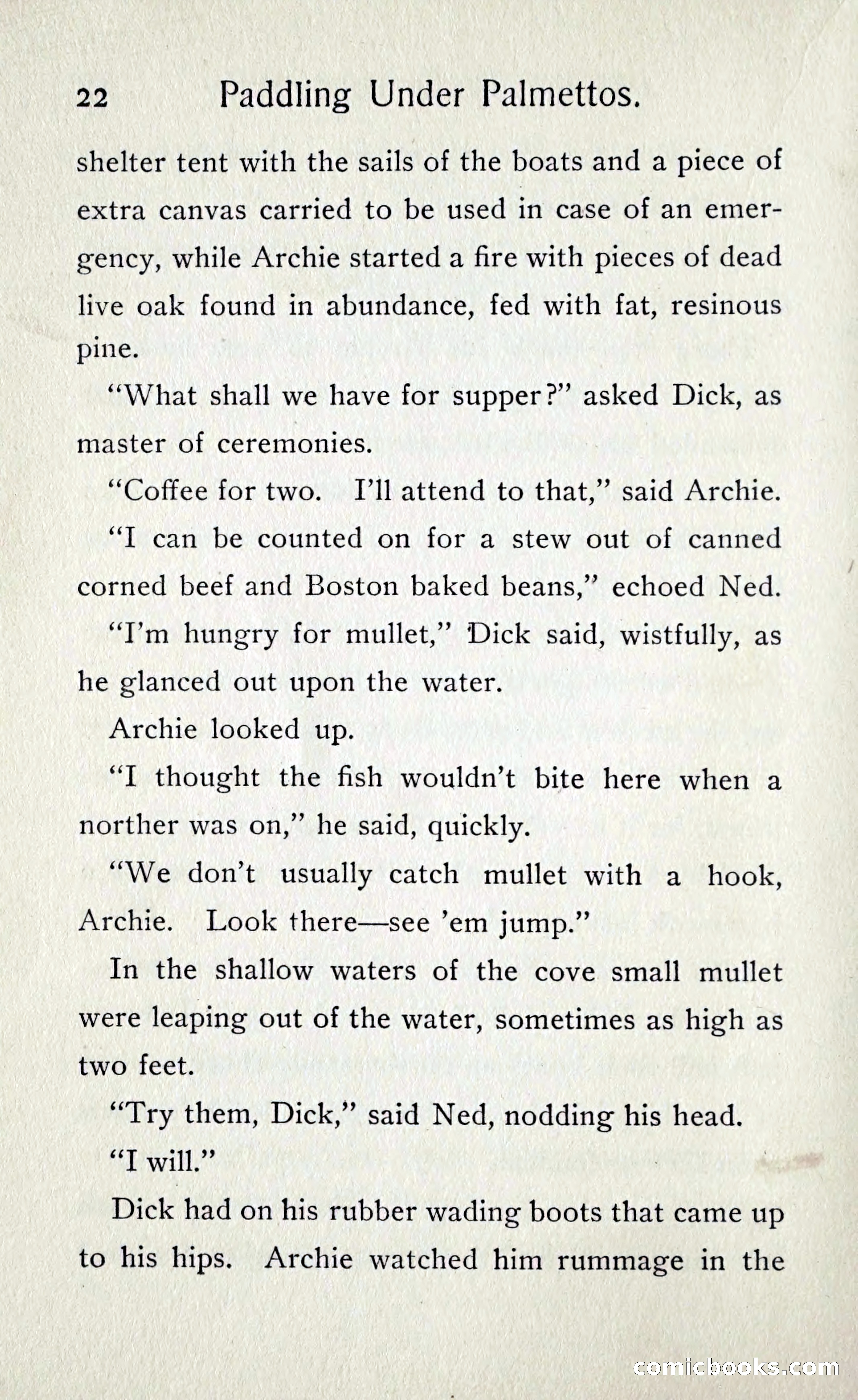 Paddling under Palmettos — page 25 of 299