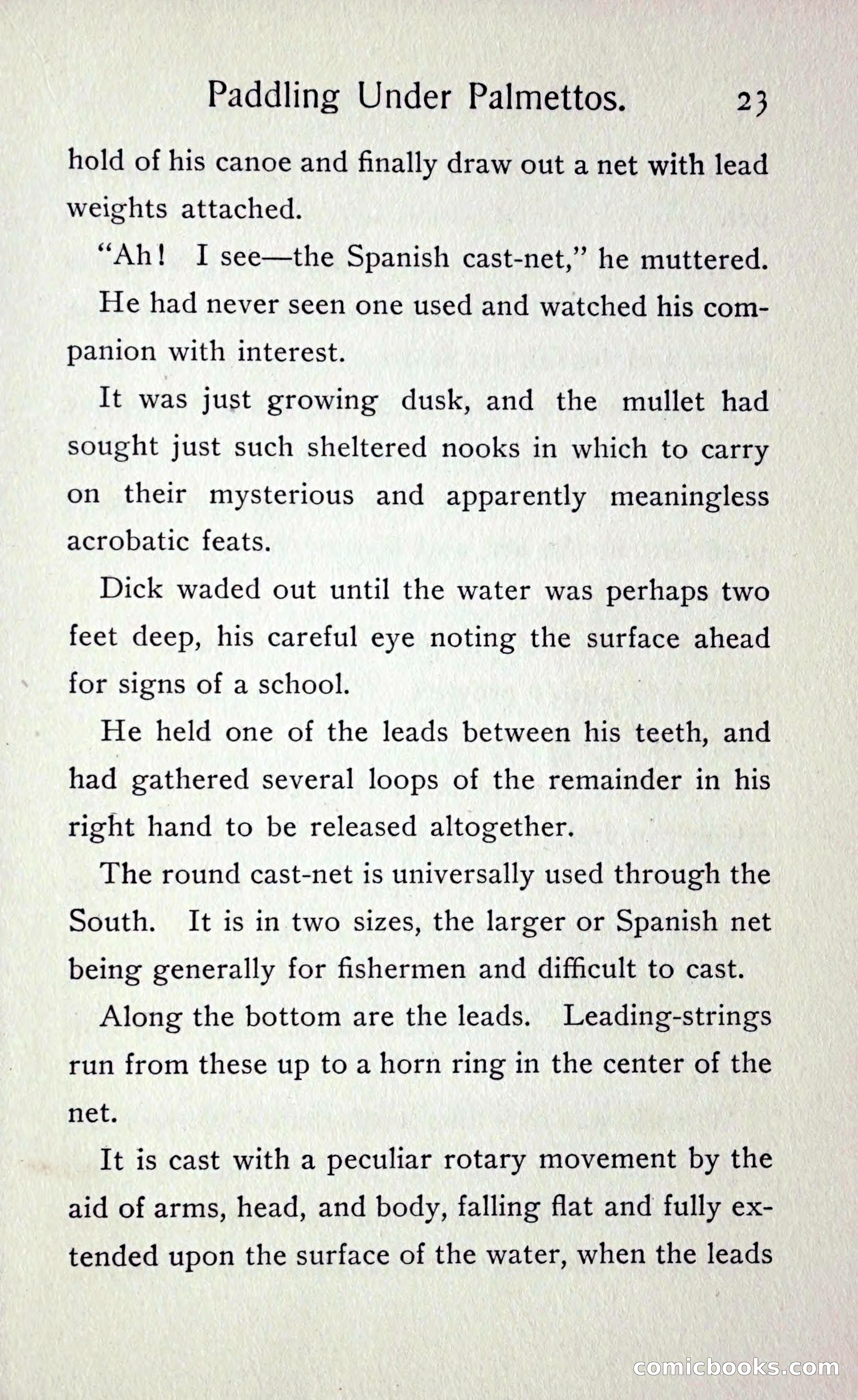 Paddling under Palmettos — page 26 of 299