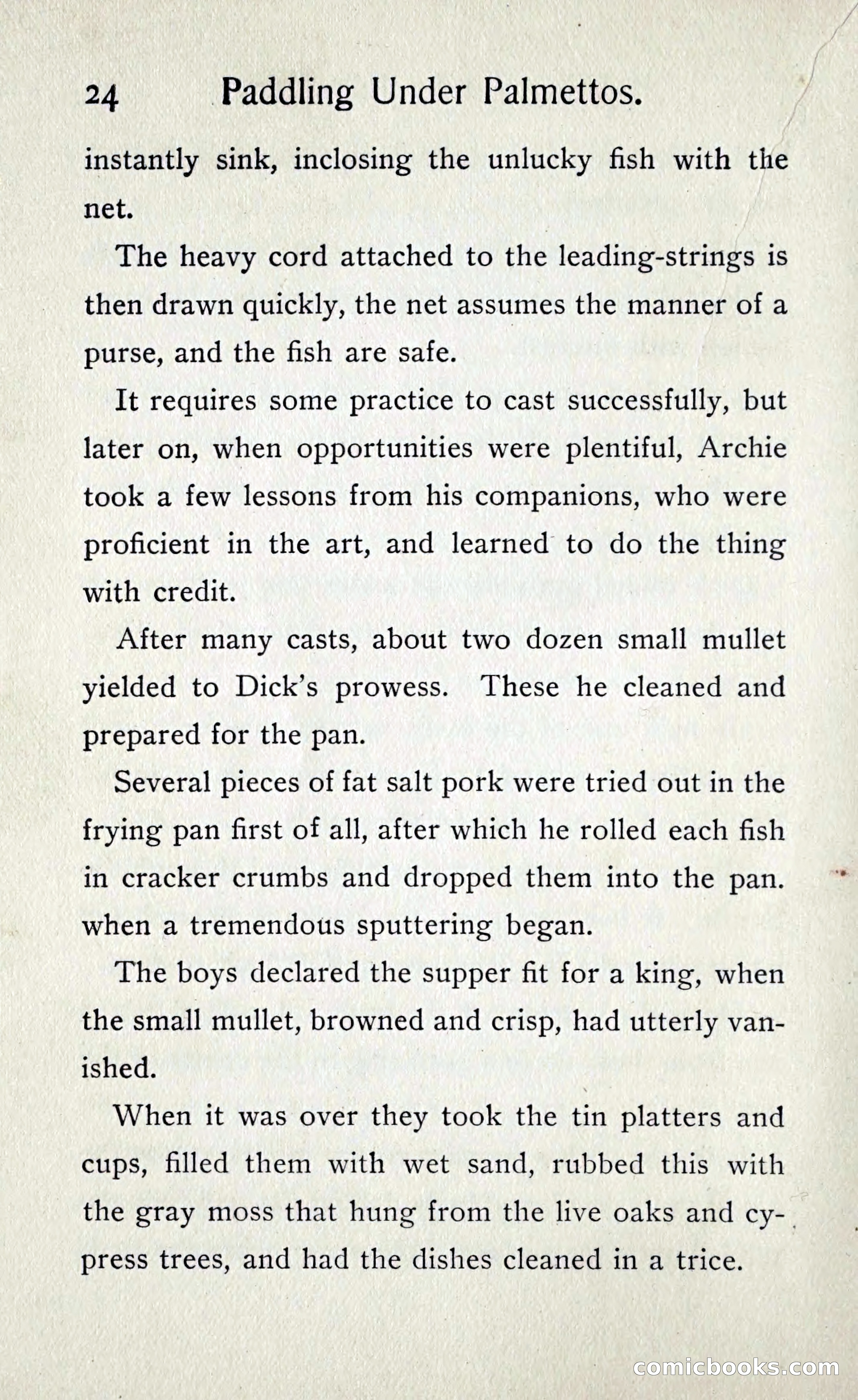 Paddling under Palmettos — page 27 of 299