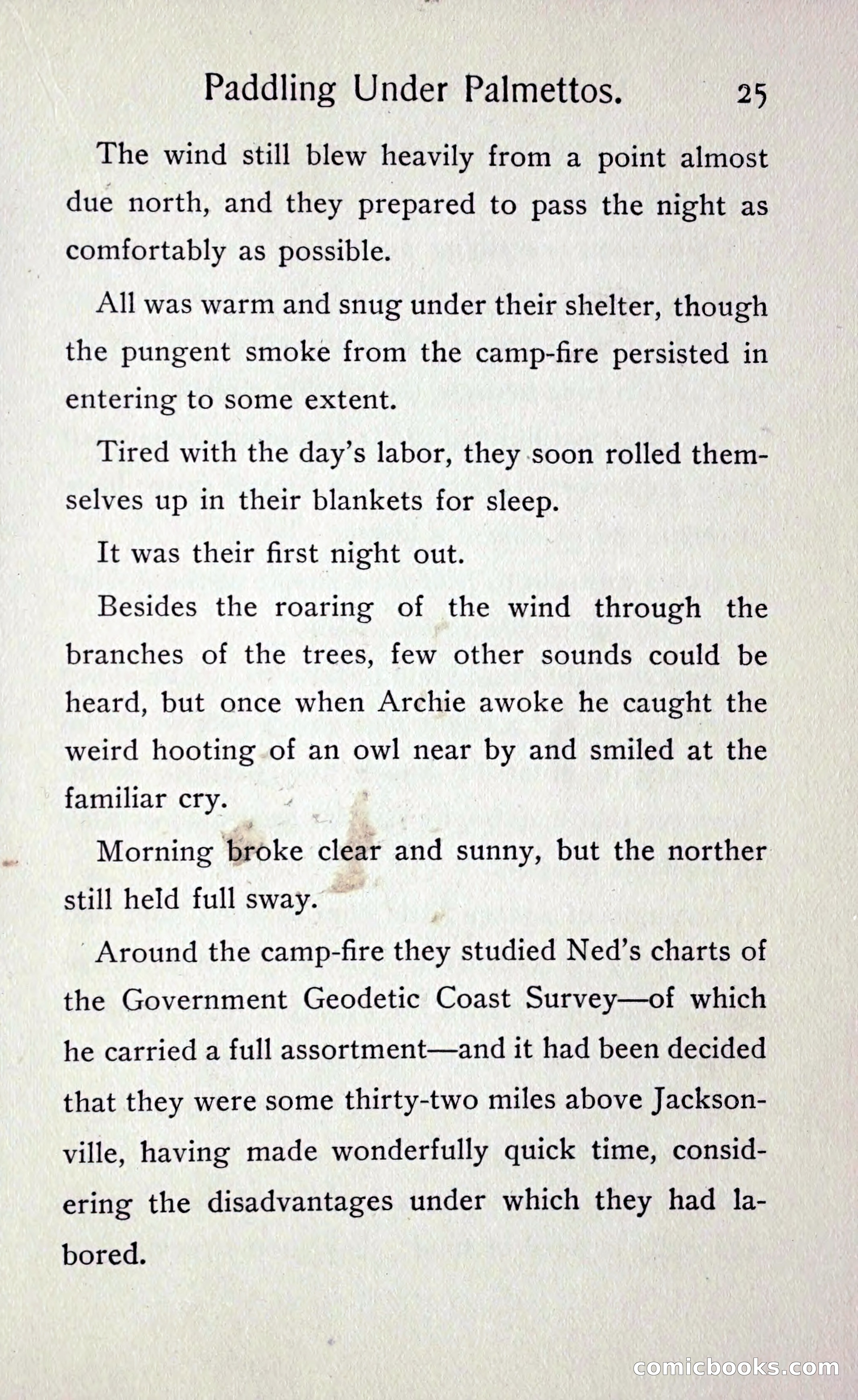 Paddling under Palmettos — page 28 of 299