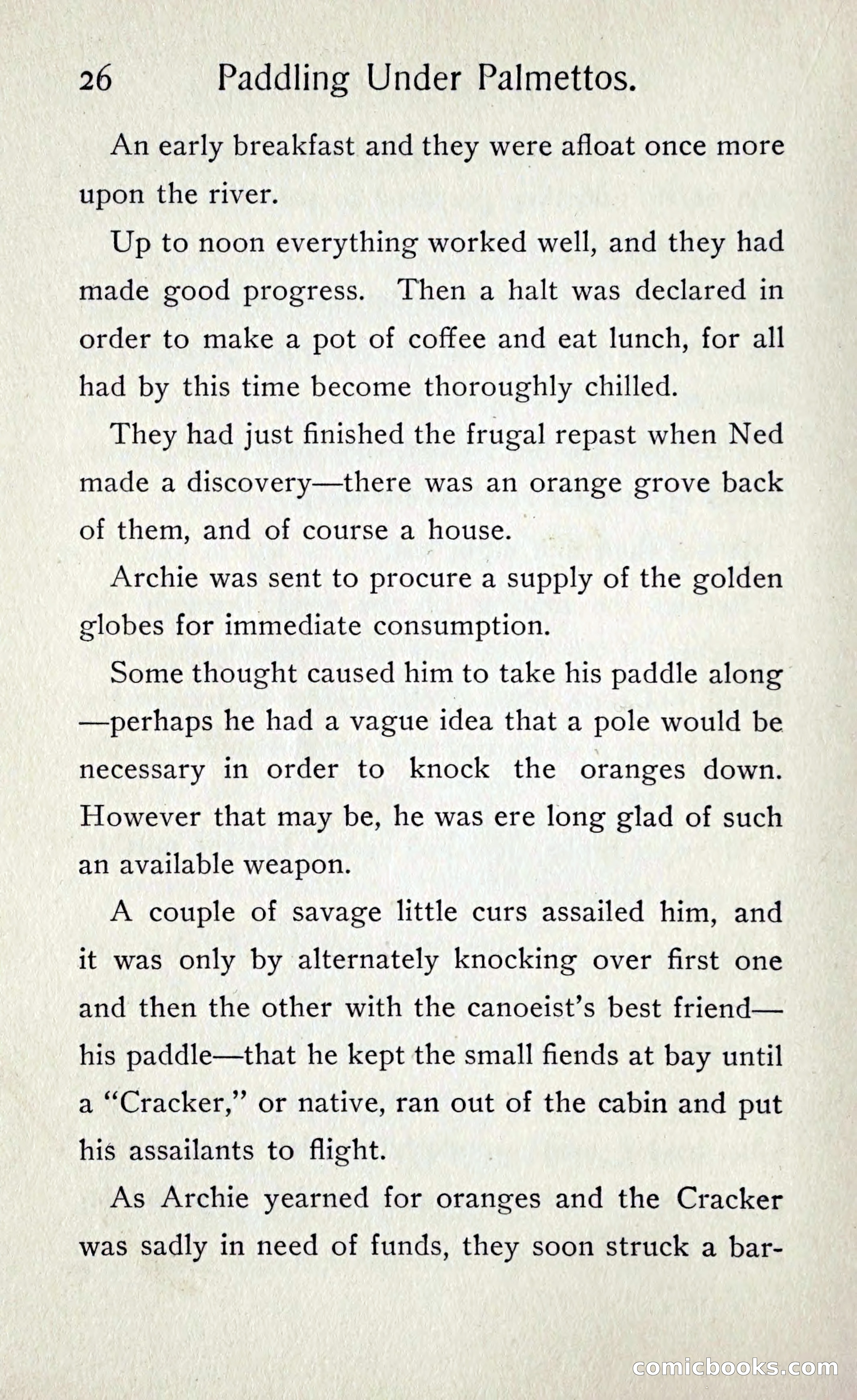 Paddling under Palmettos — page 29 of 299