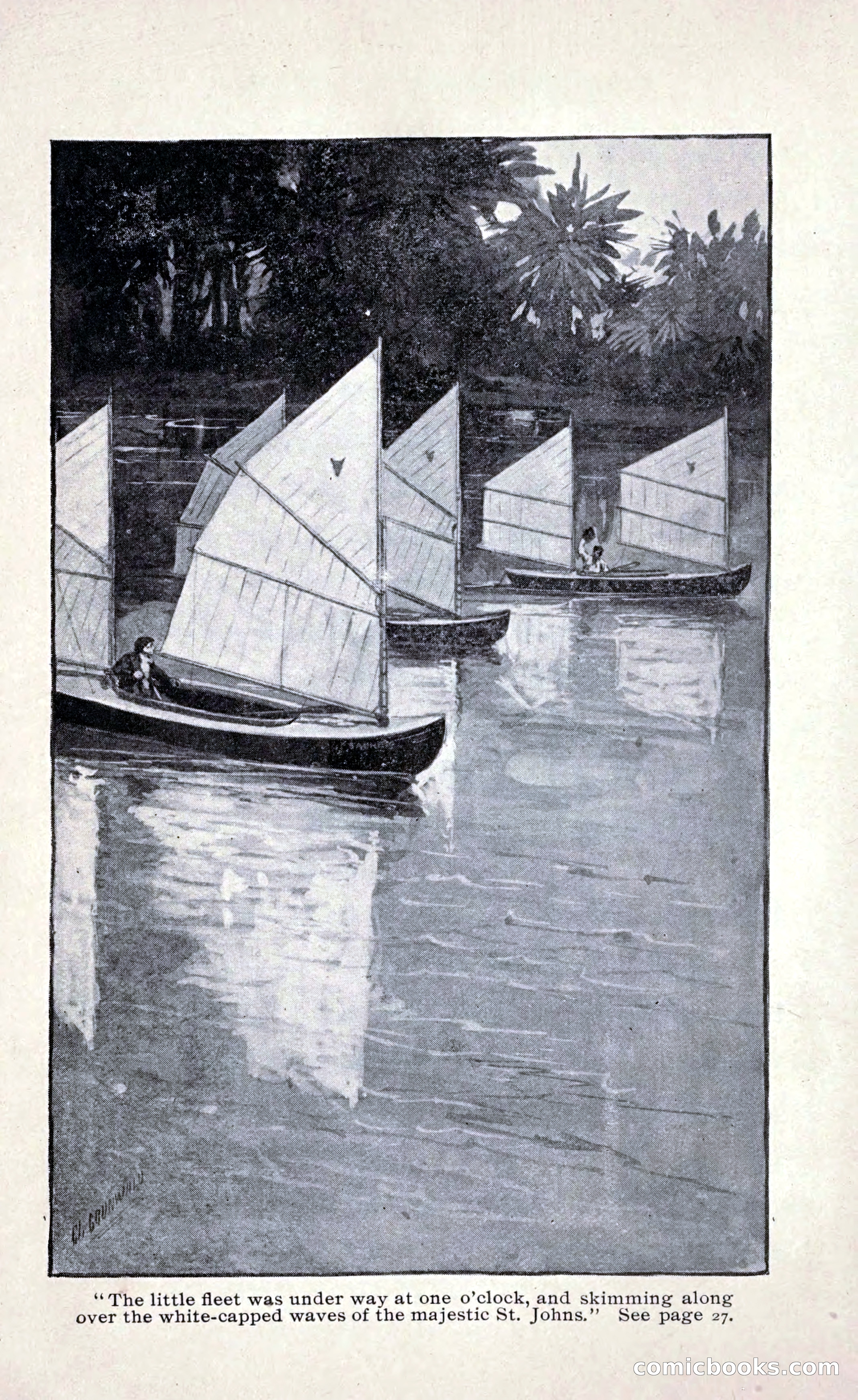 Paddling under Palmettos — page 31 of 299