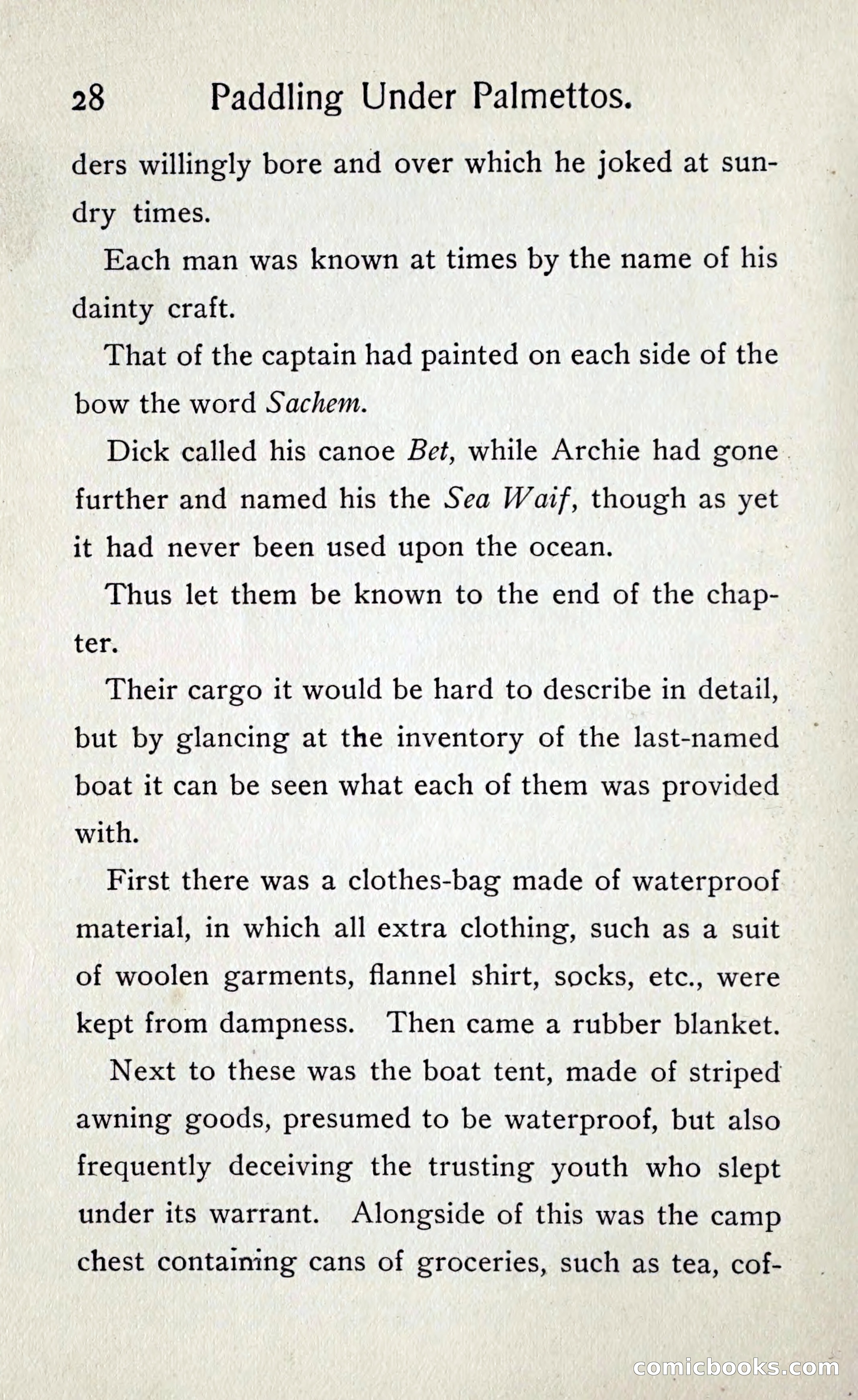 Paddling under Palmettos — page 33 of 299