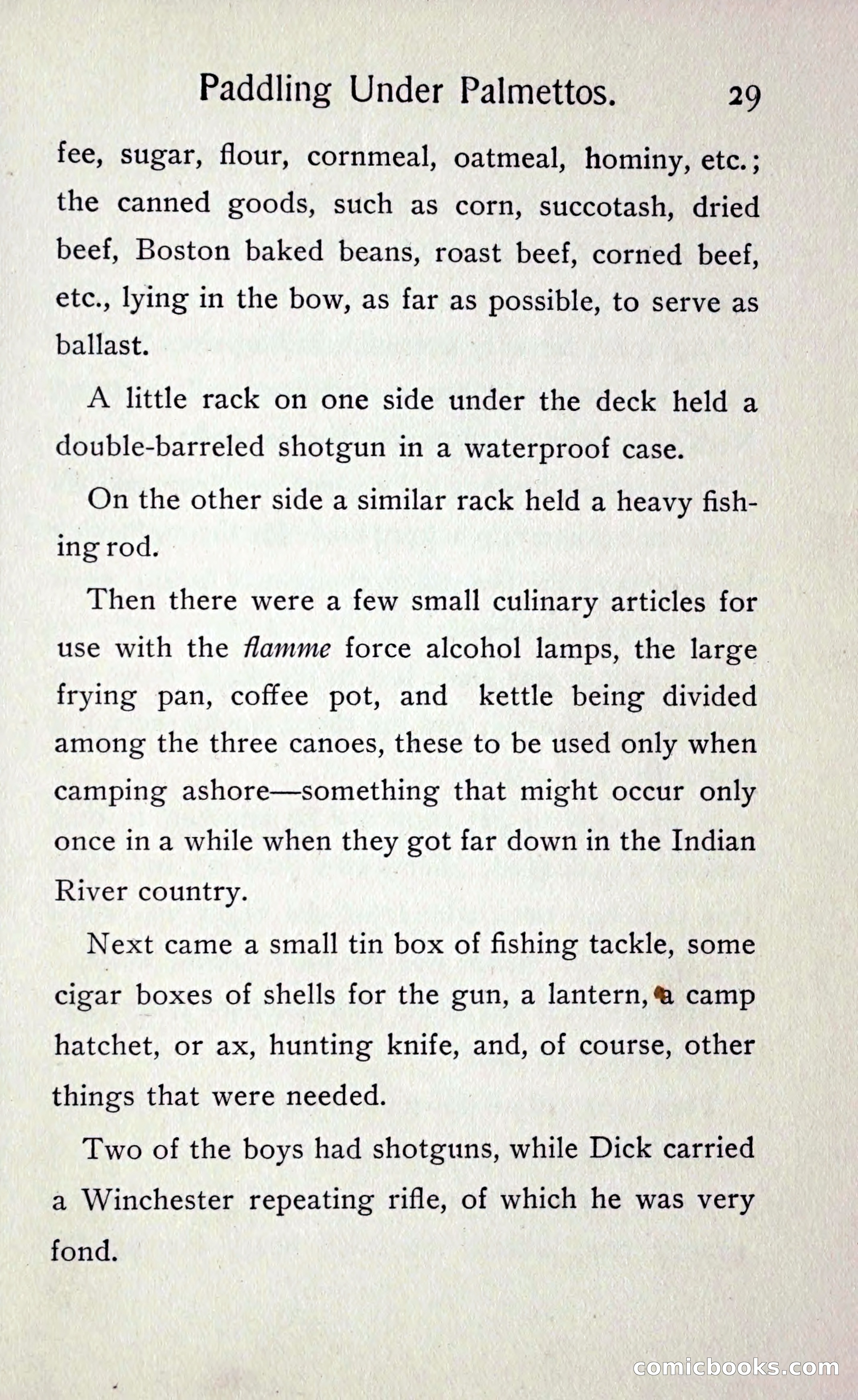 Paddling under Palmettos — page 34 of 299