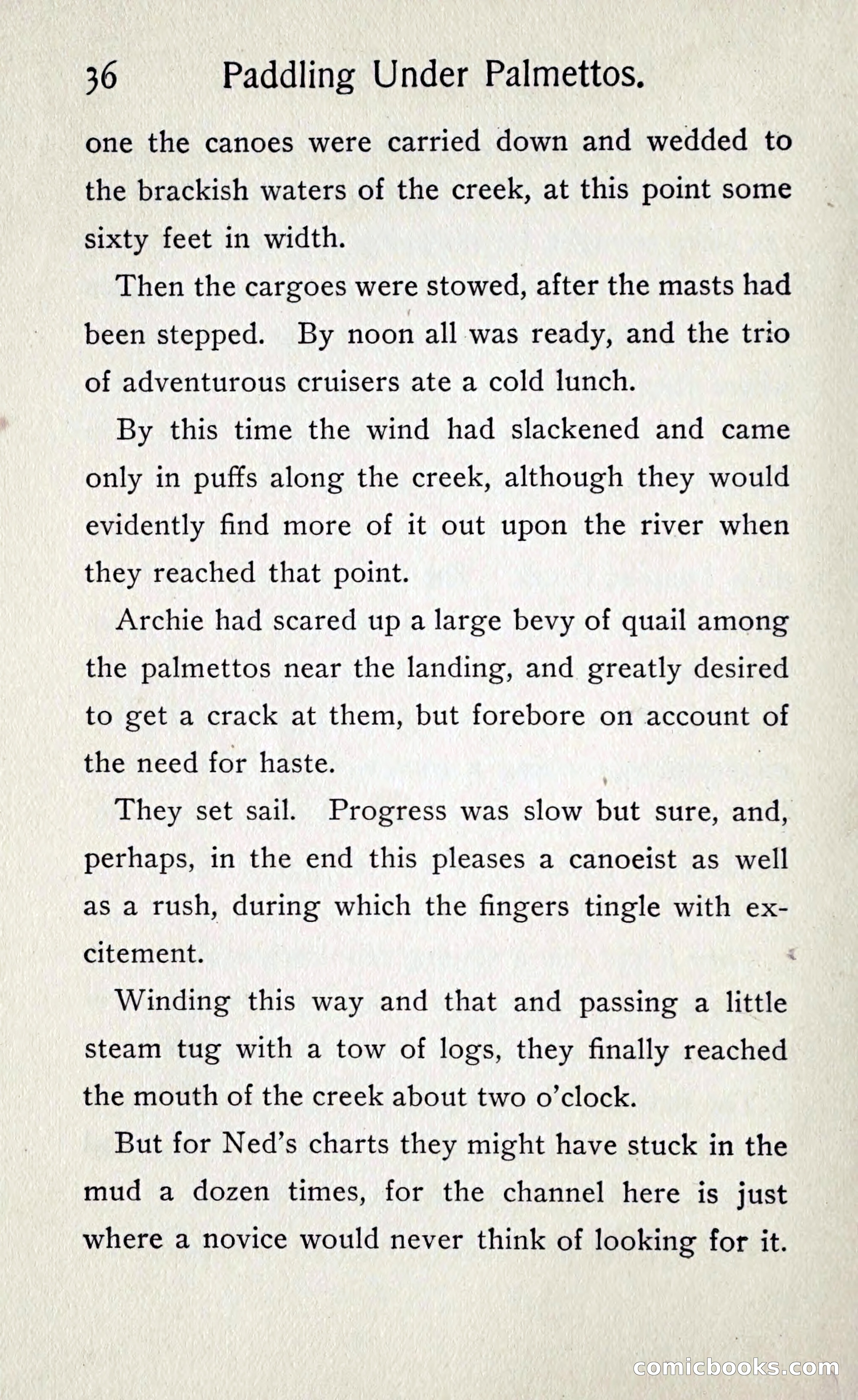 Paddling under Palmettos — page 41 of 299