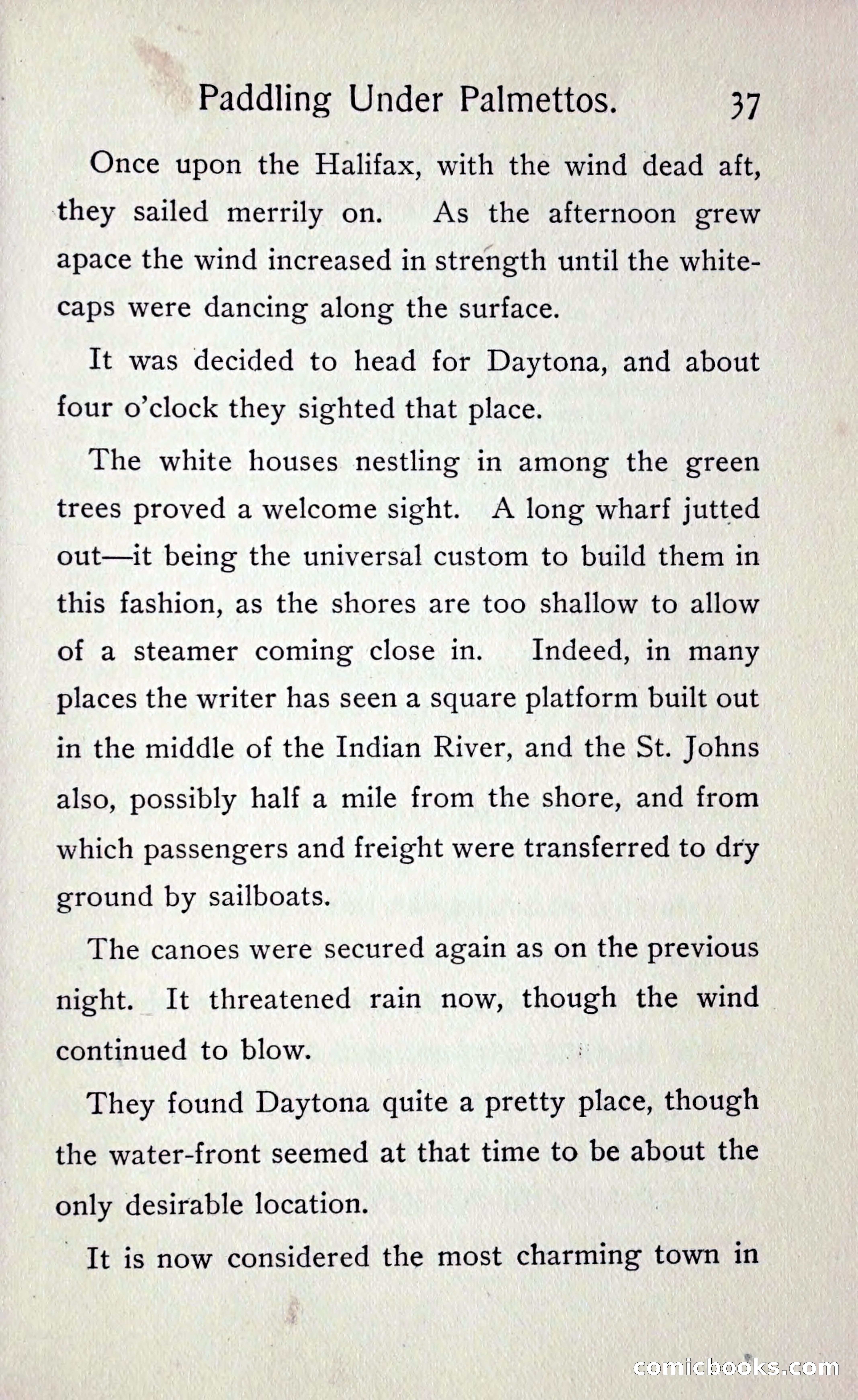 Paddling under Palmettos — page 42 of 299