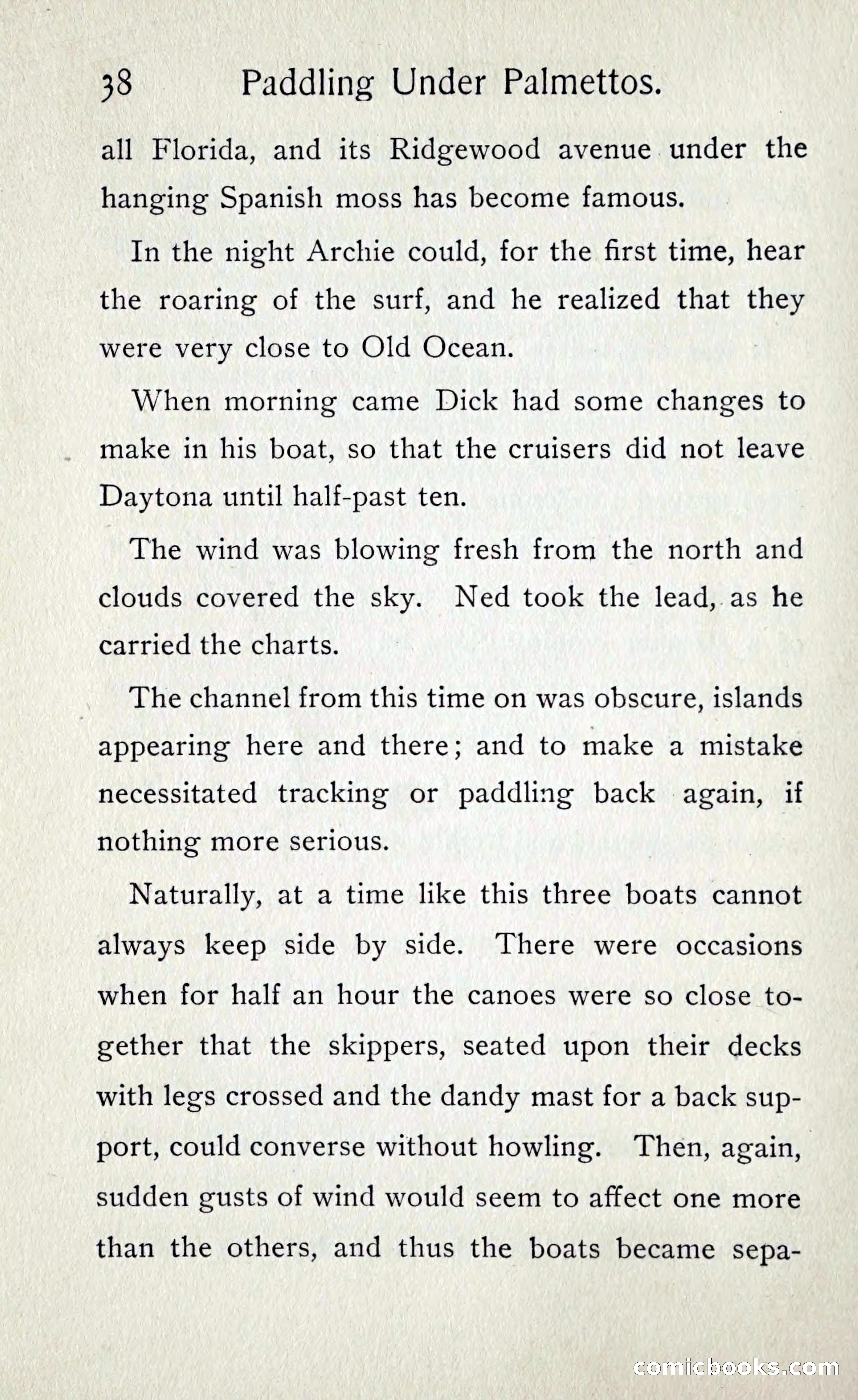 Paddling under Palmettos — page 43 of 299