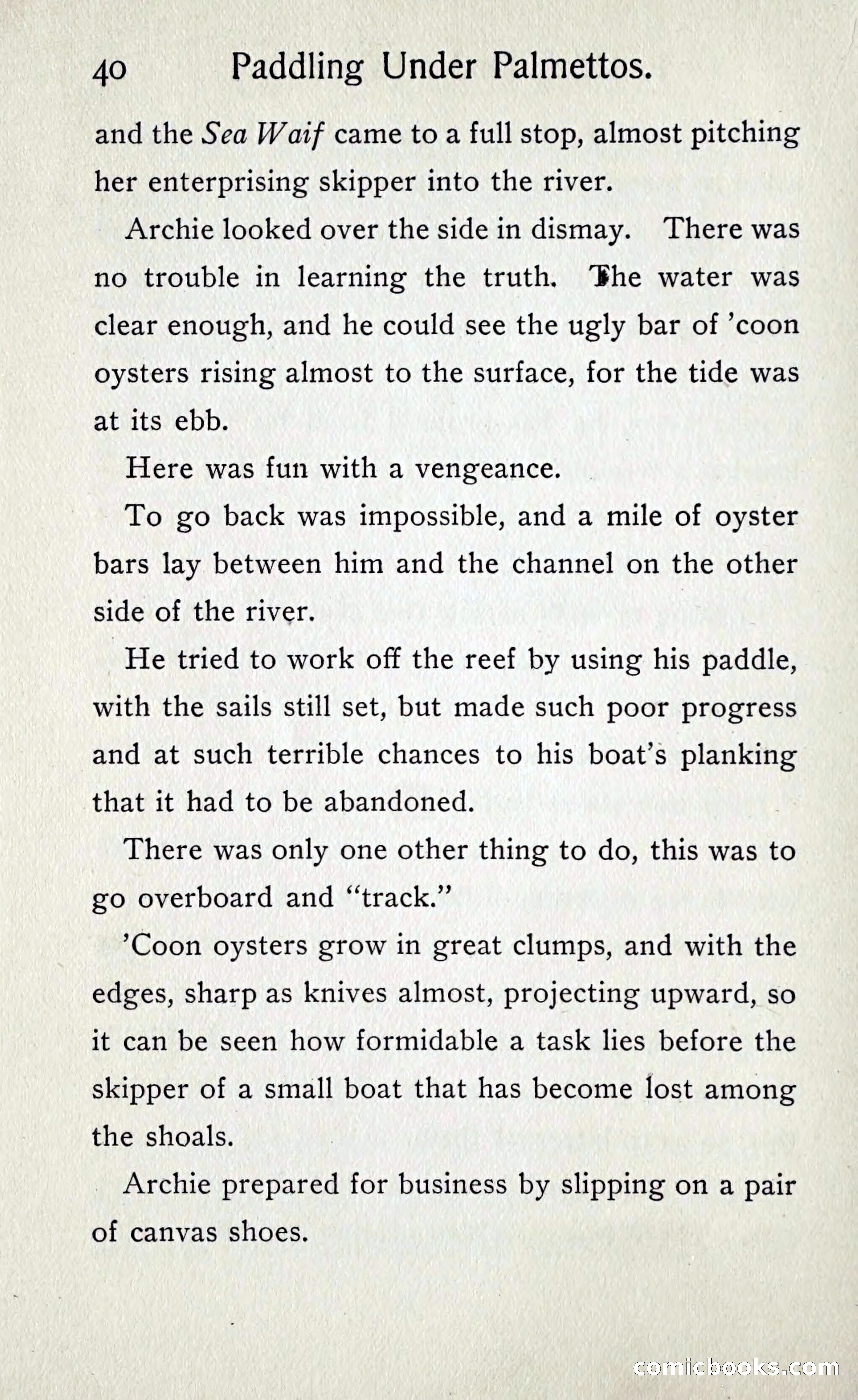 Paddling under Palmettos — page 45 of 299
