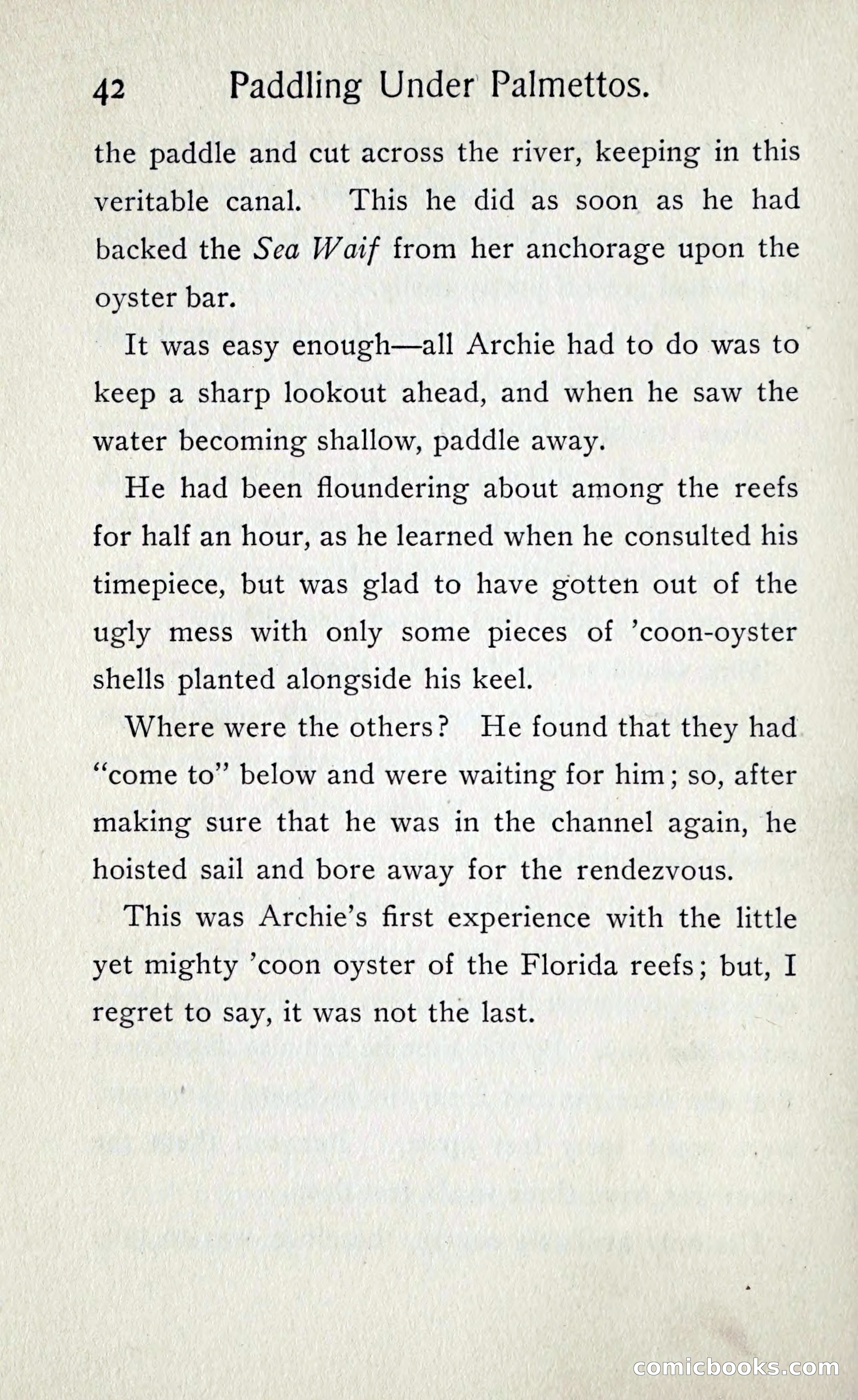 Paddling under Palmettos — page 47 of 299