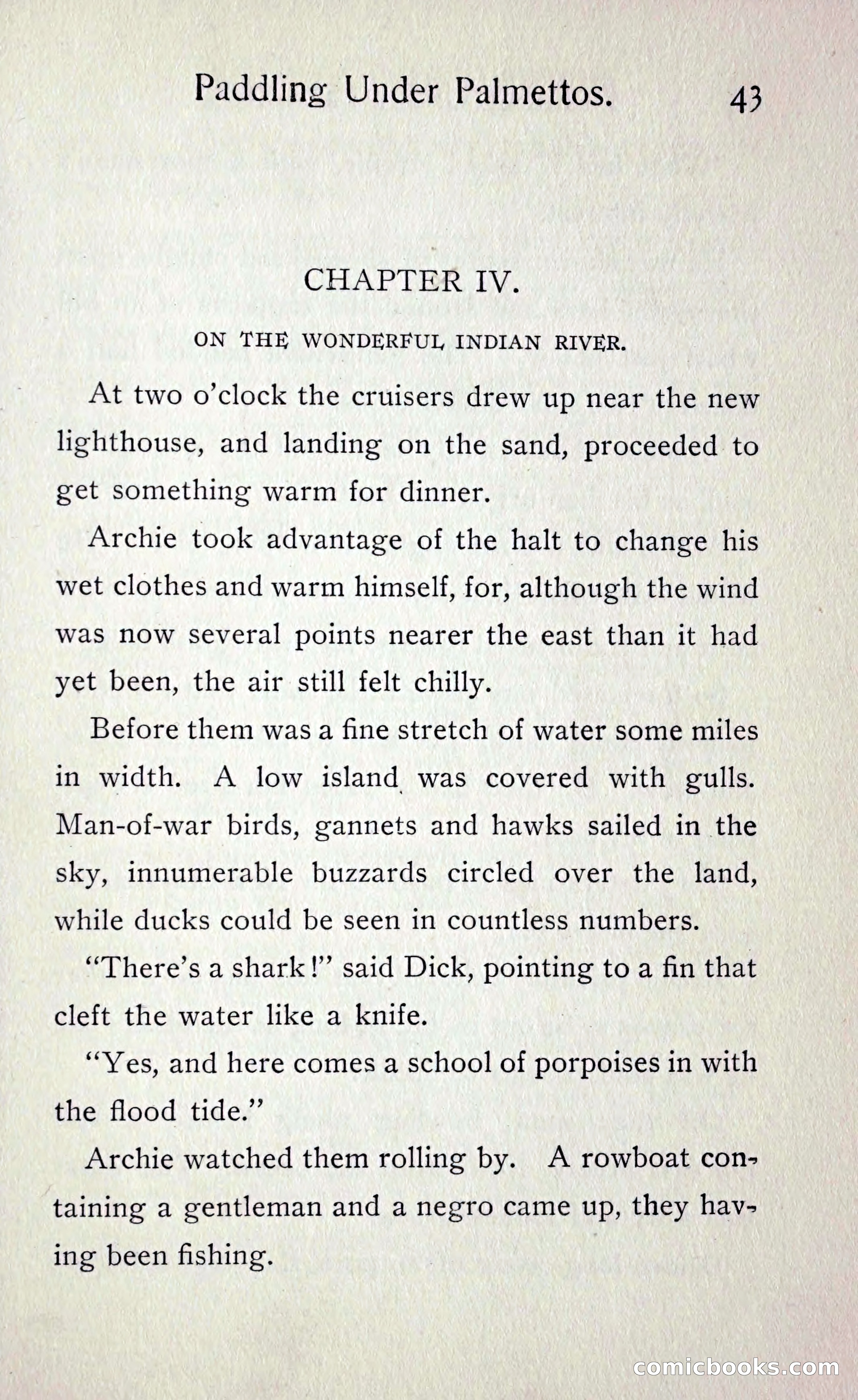 Paddling under Palmettos — page 48 of 299