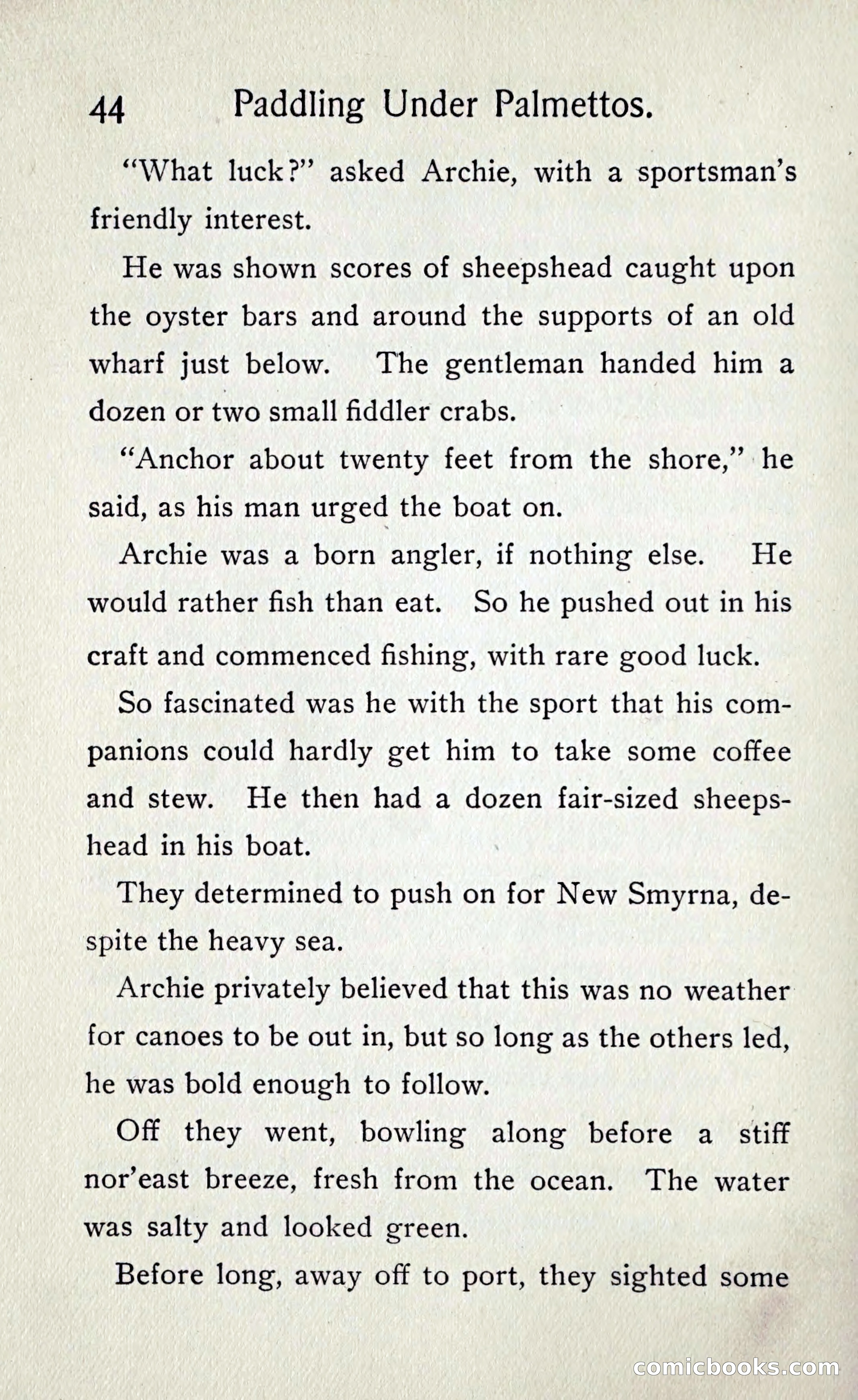 Paddling under Palmettos — page 49 of 299