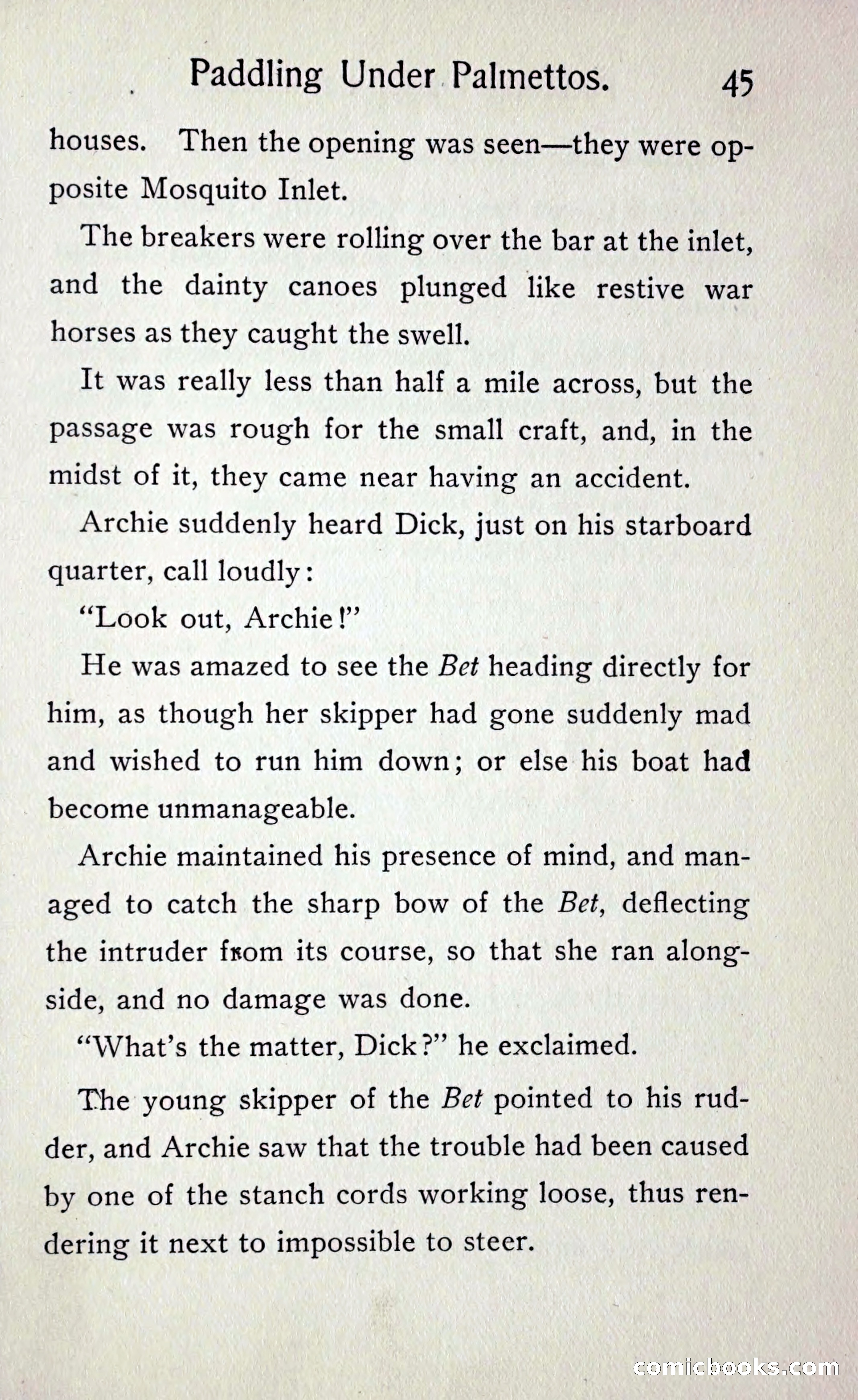 Paddling under Palmettos — page 50 of 299