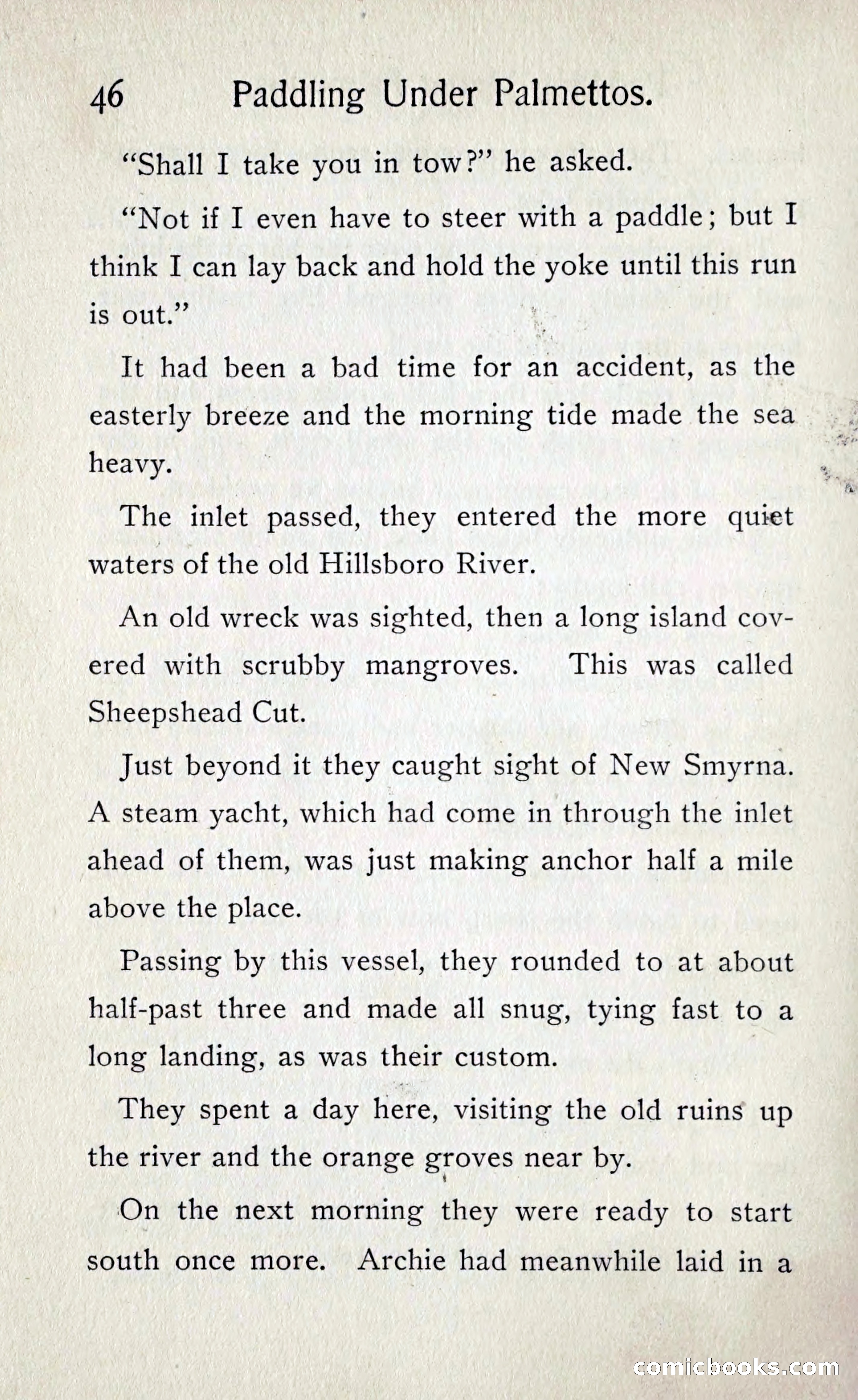 Paddling under Palmettos — page 51 of 299