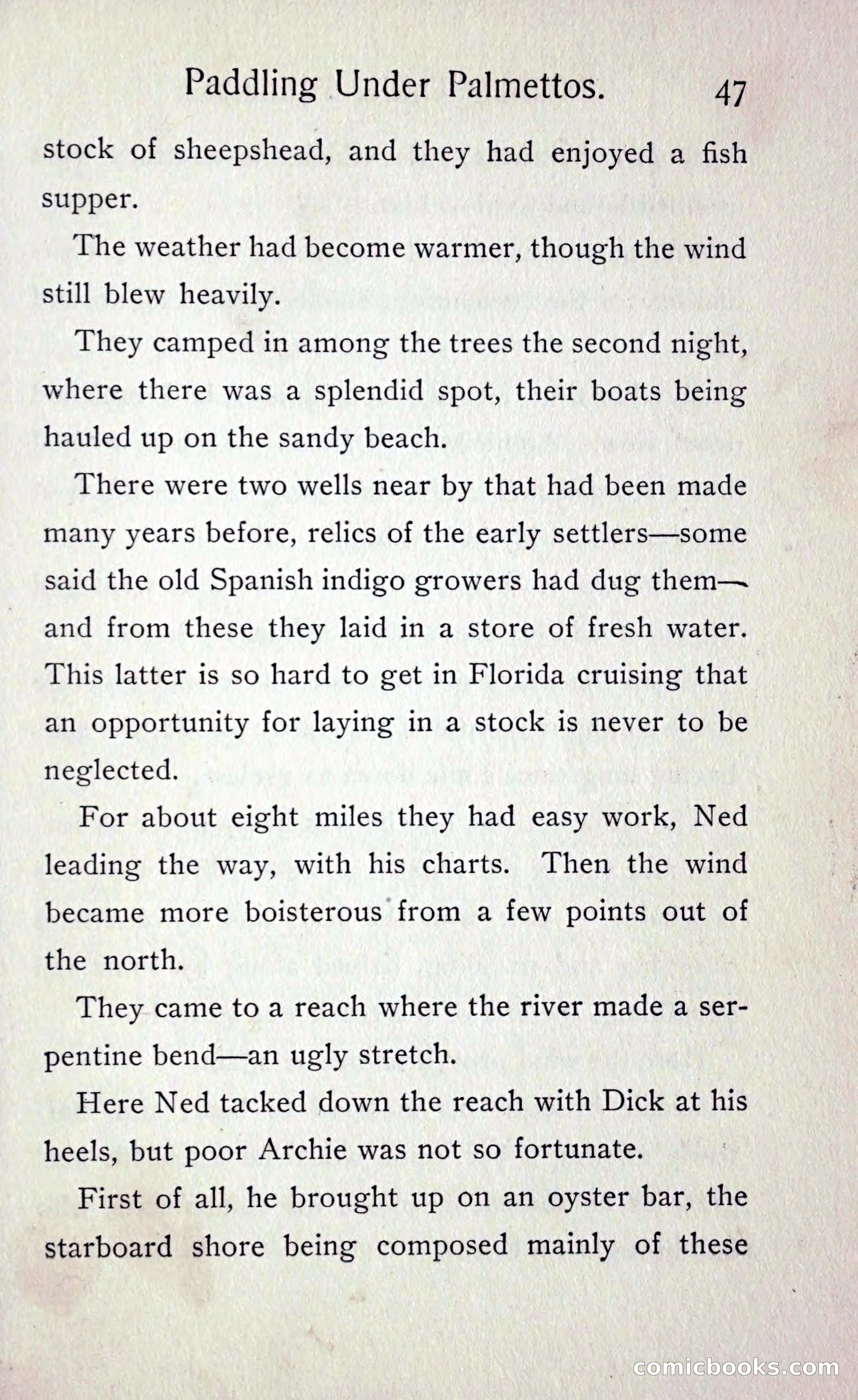 Paddling under Palmettos — page 52 of 299