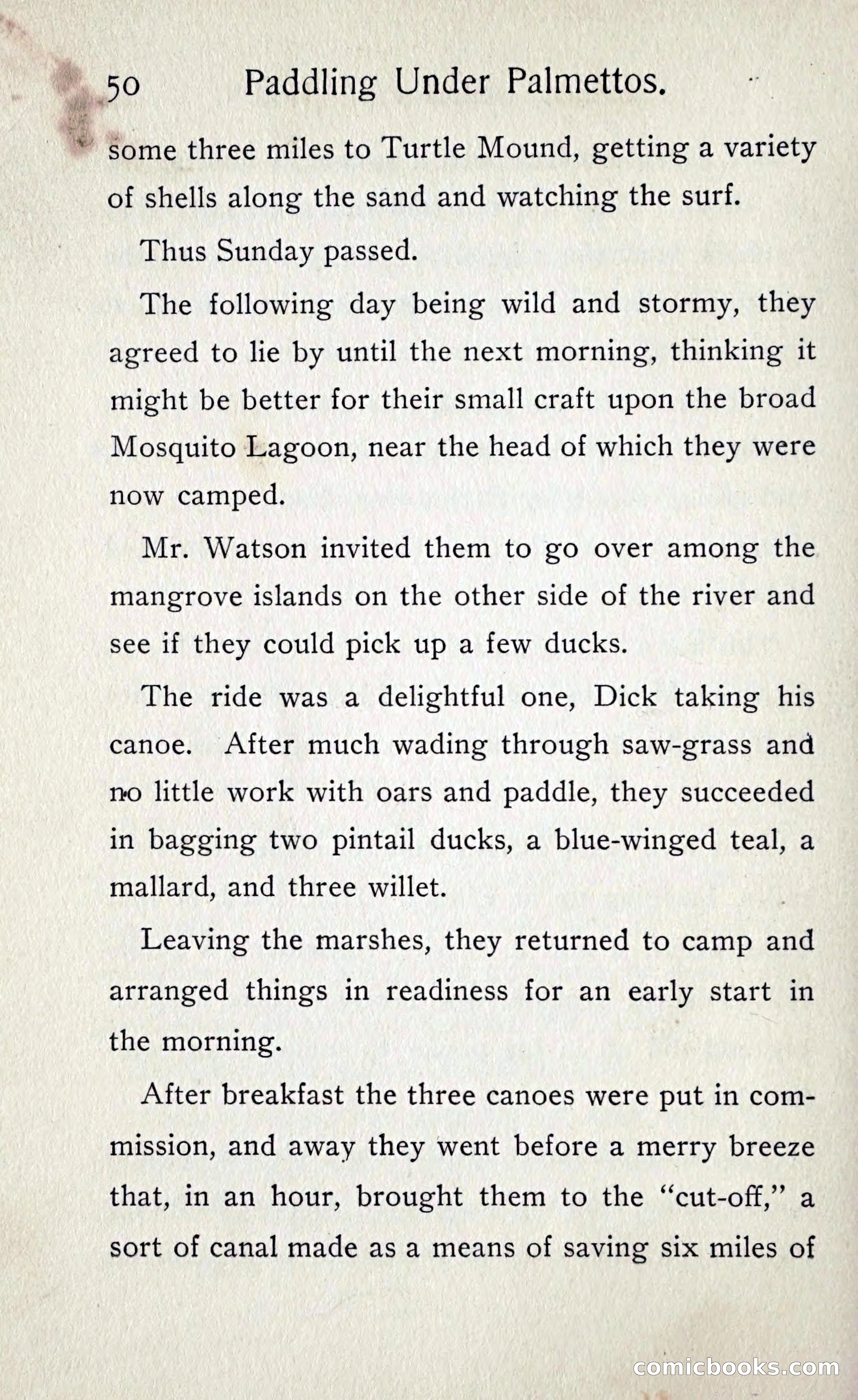 Paddling under Palmettos — page 55 of 299