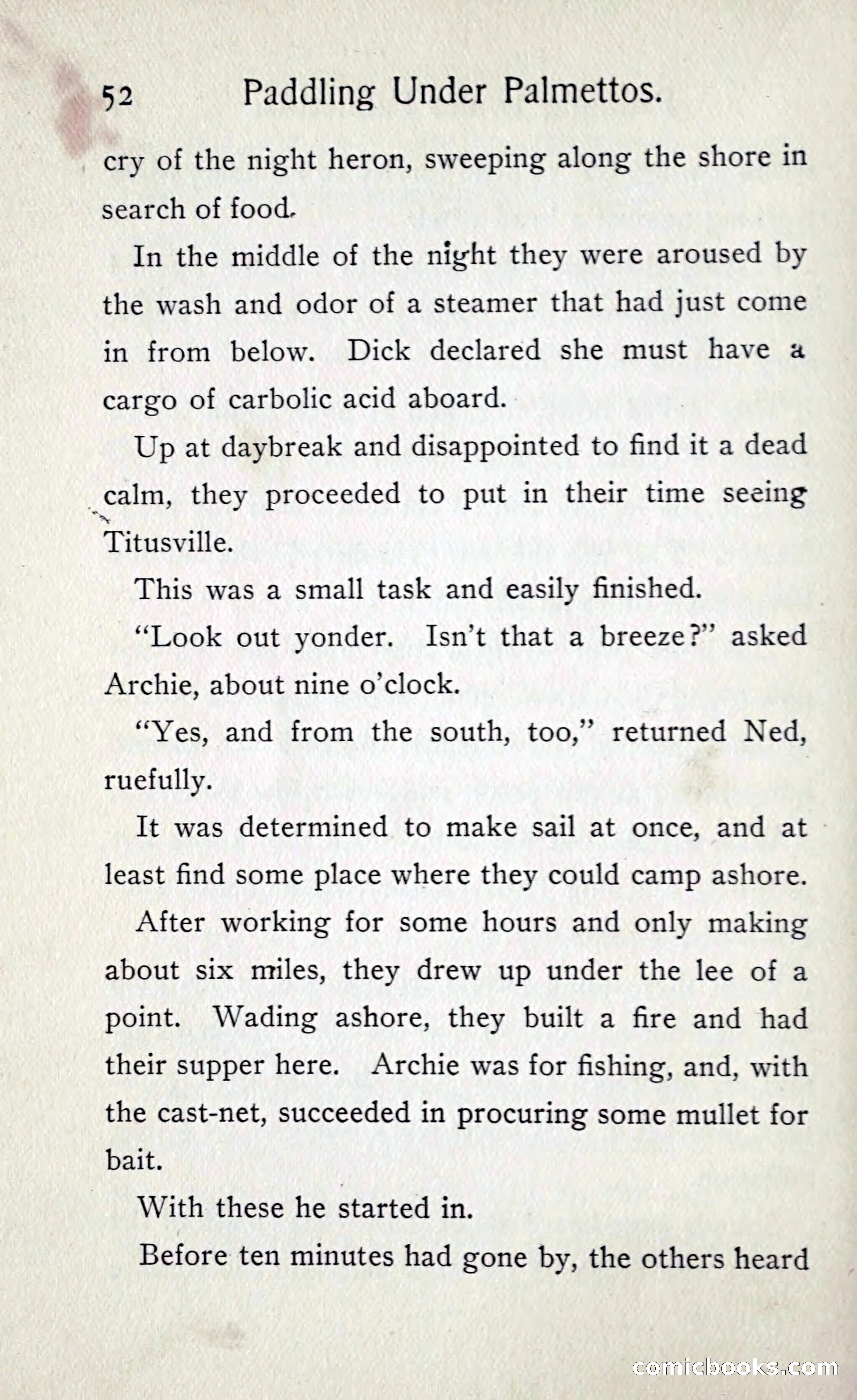 Paddling under Palmettos — page 57 of 299