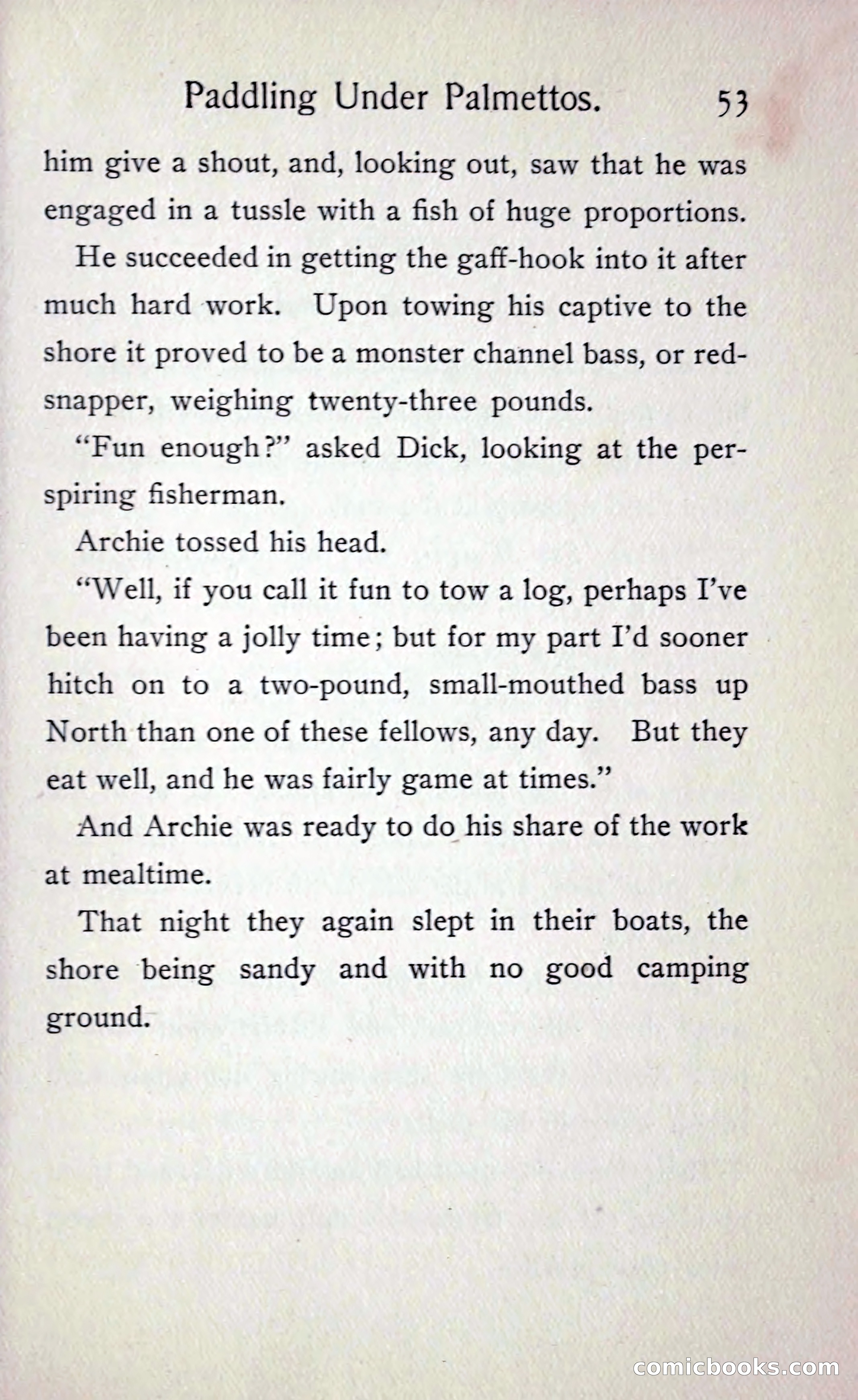 Paddling under Palmettos — page 58 of 299