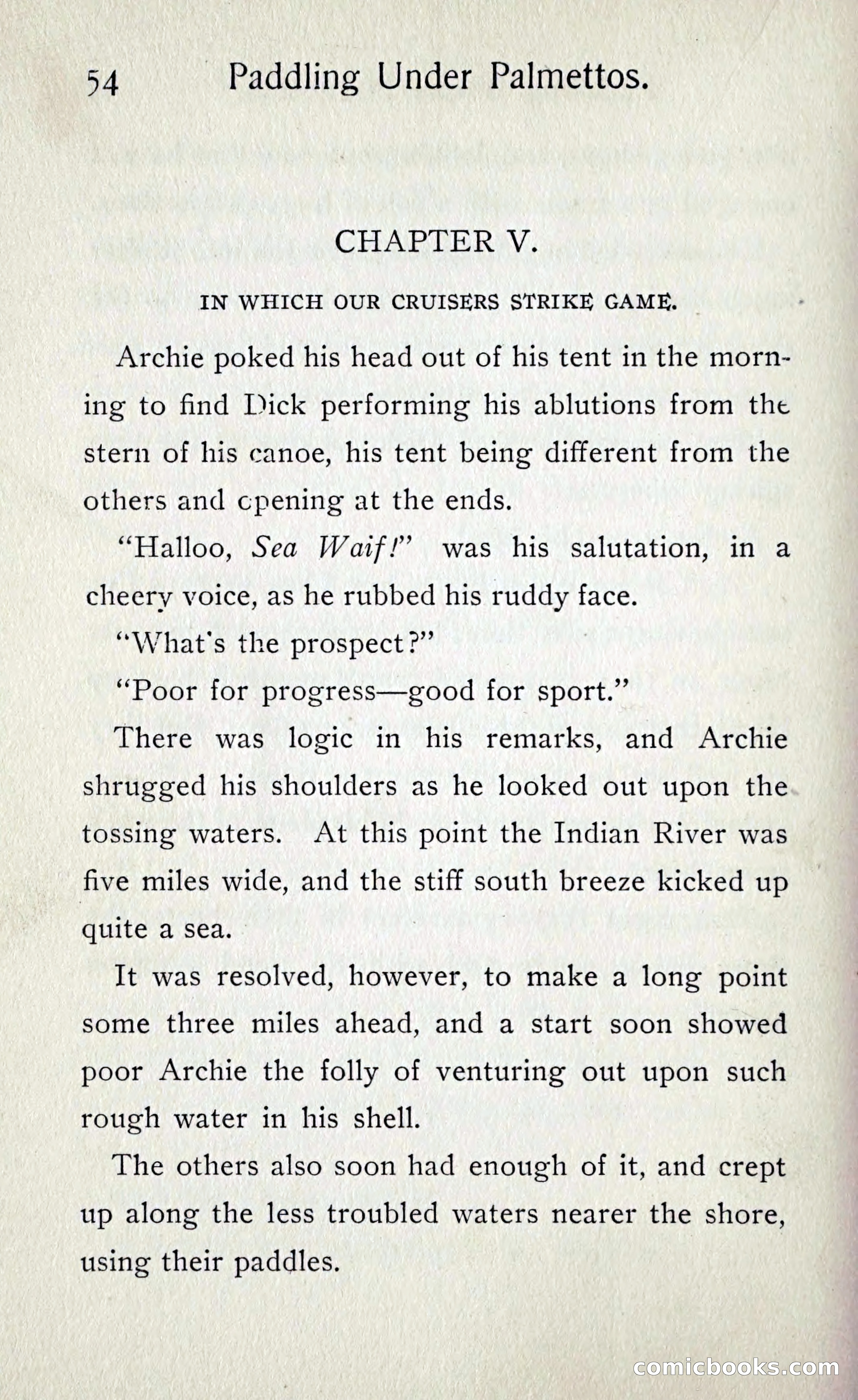 Paddling under Palmettos — page 59 of 299